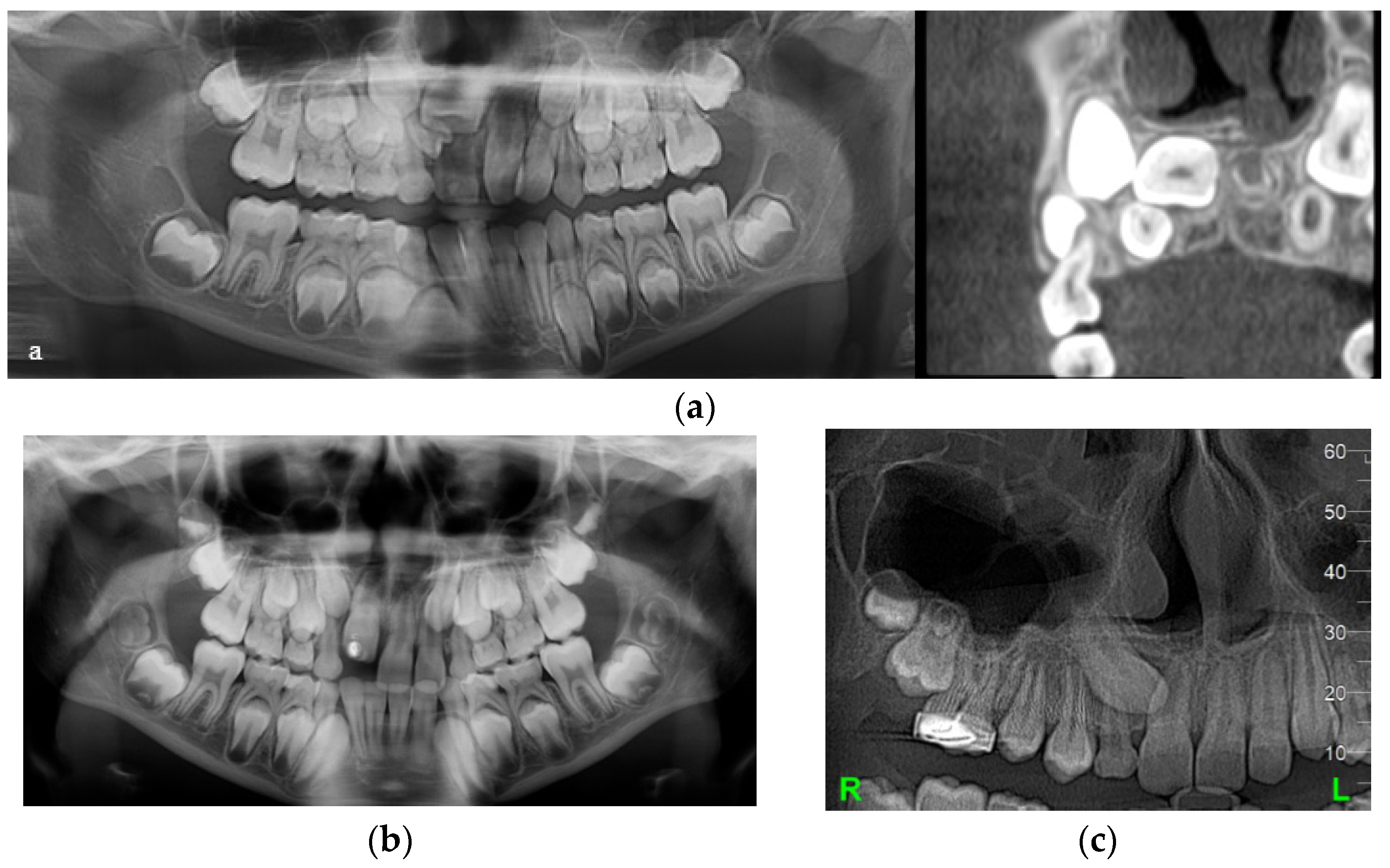 Applsci 12 09854 g006