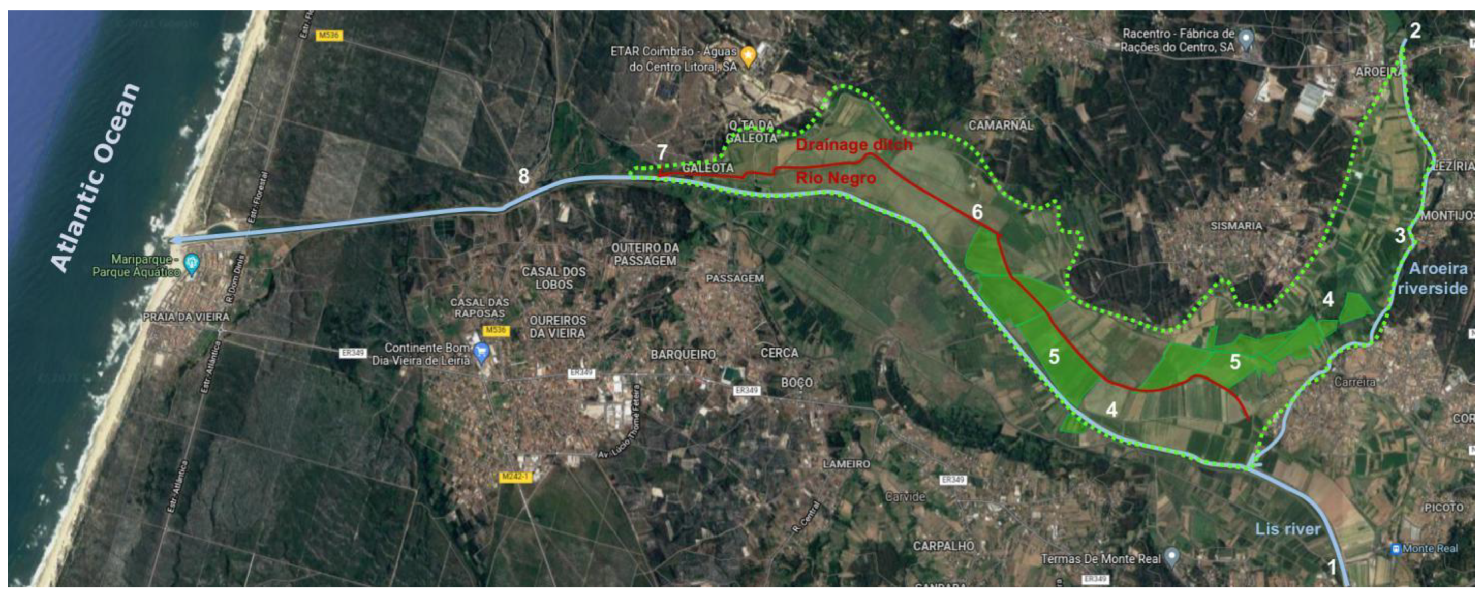 Applsci 12 09856 g001