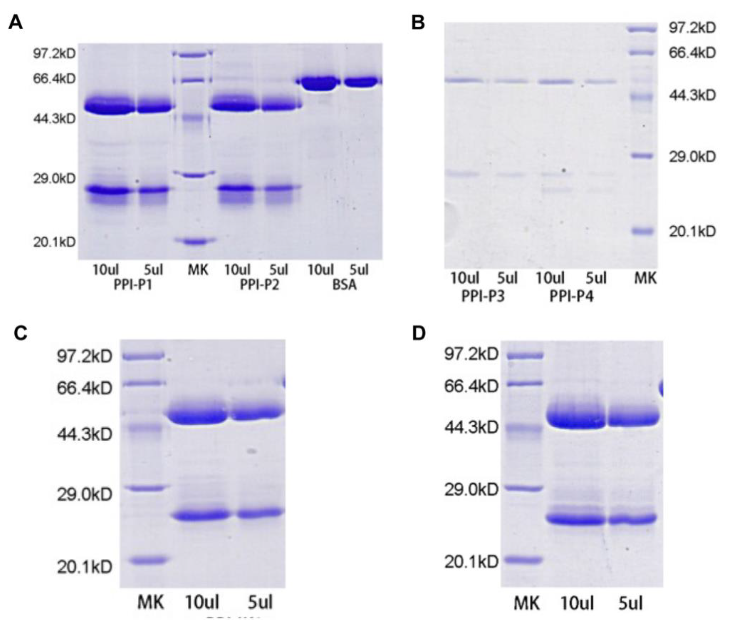 Applsci 12 09868 g002