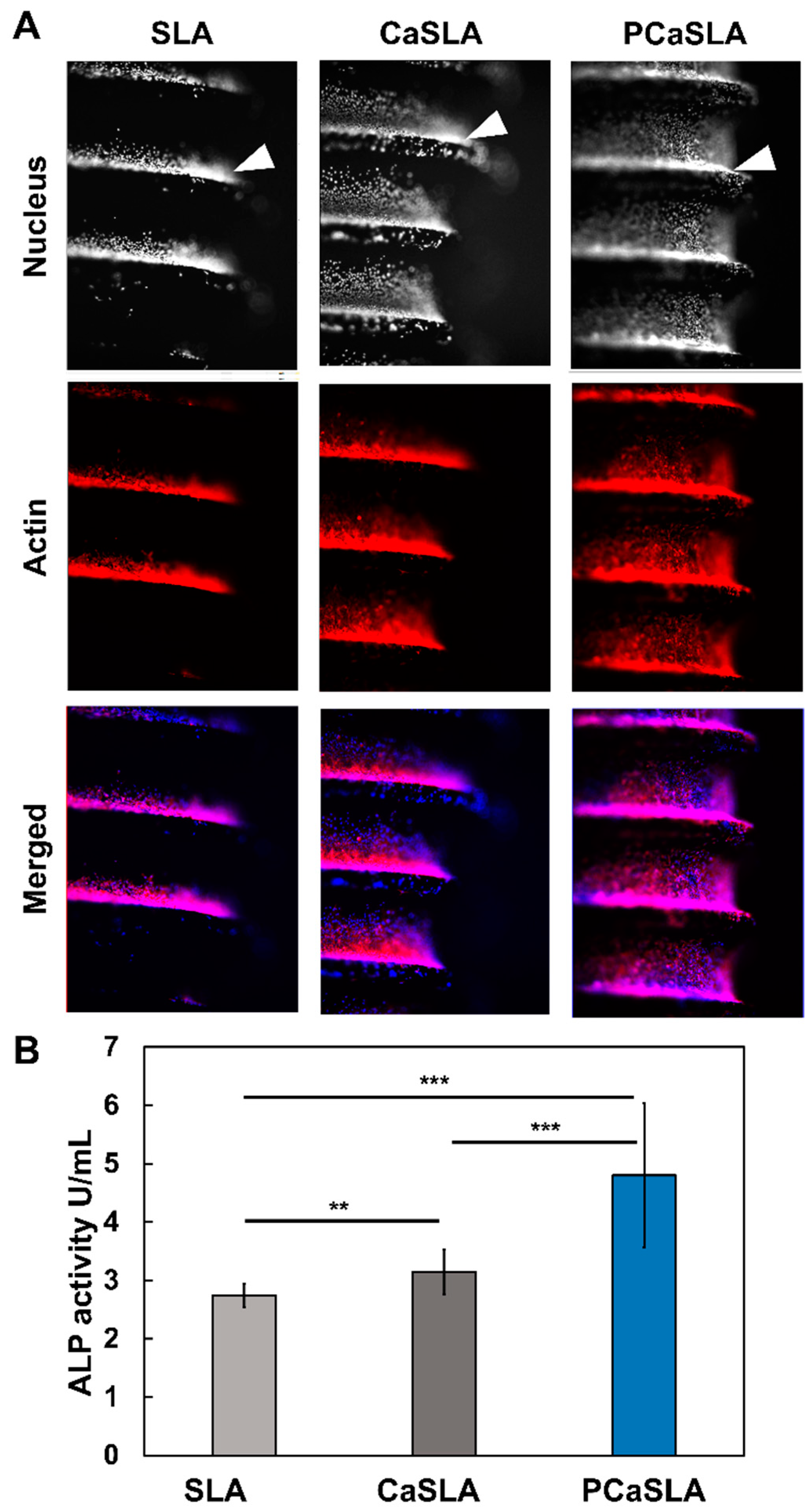 Applsci 12 09884 g005