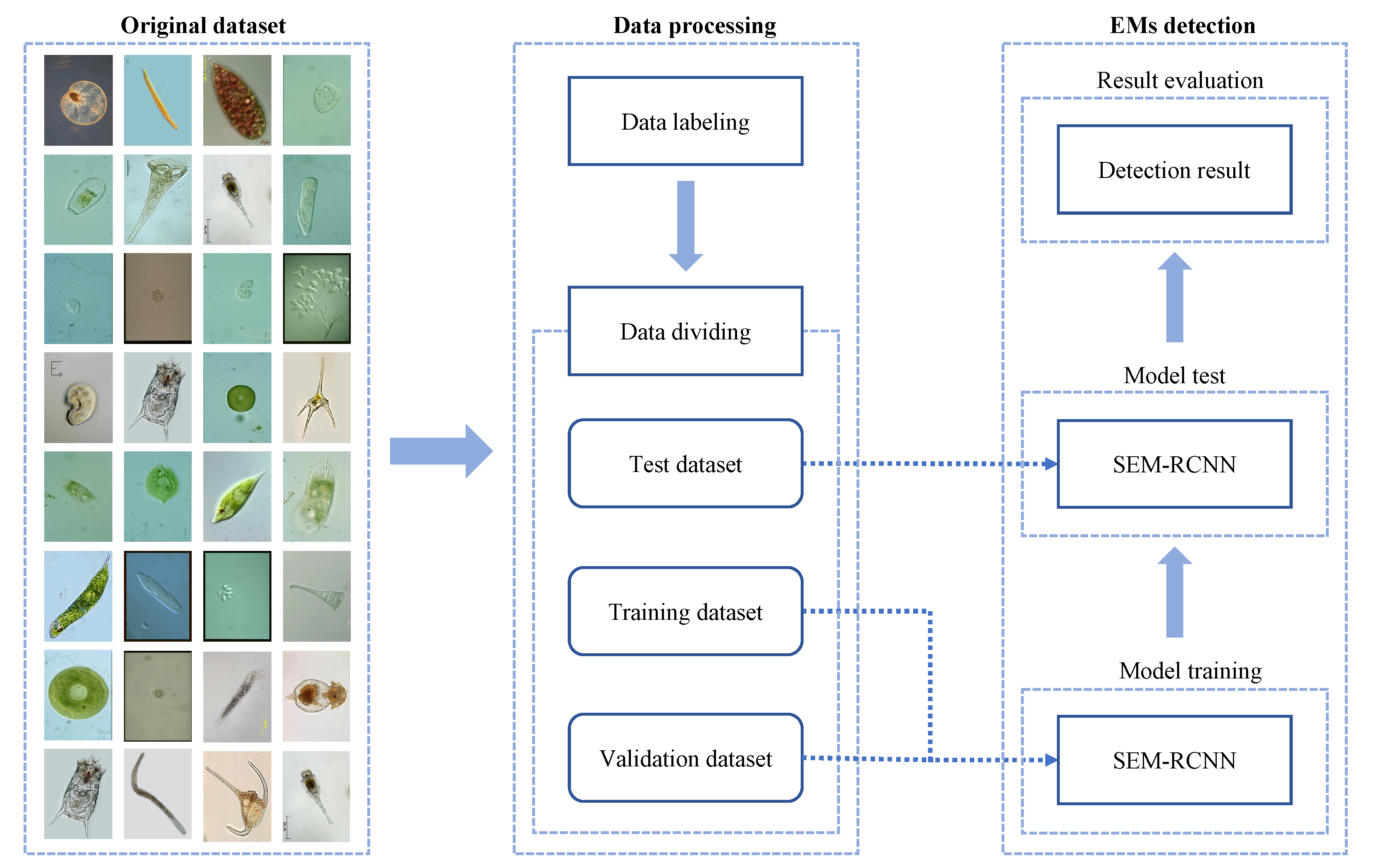 Applsci 12 09902 g001