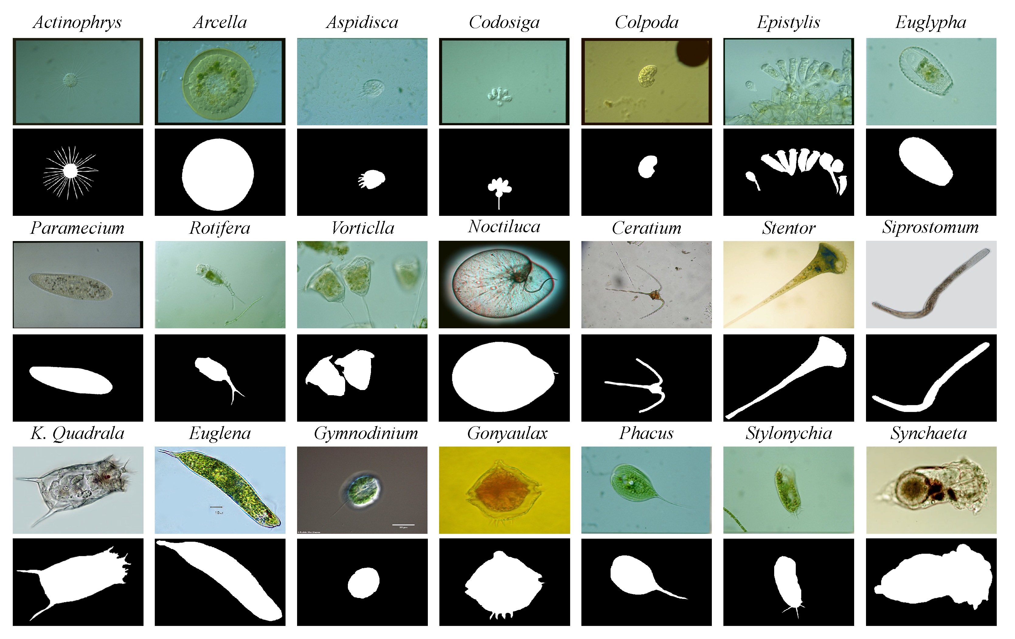 Applsci 12 09902 g011