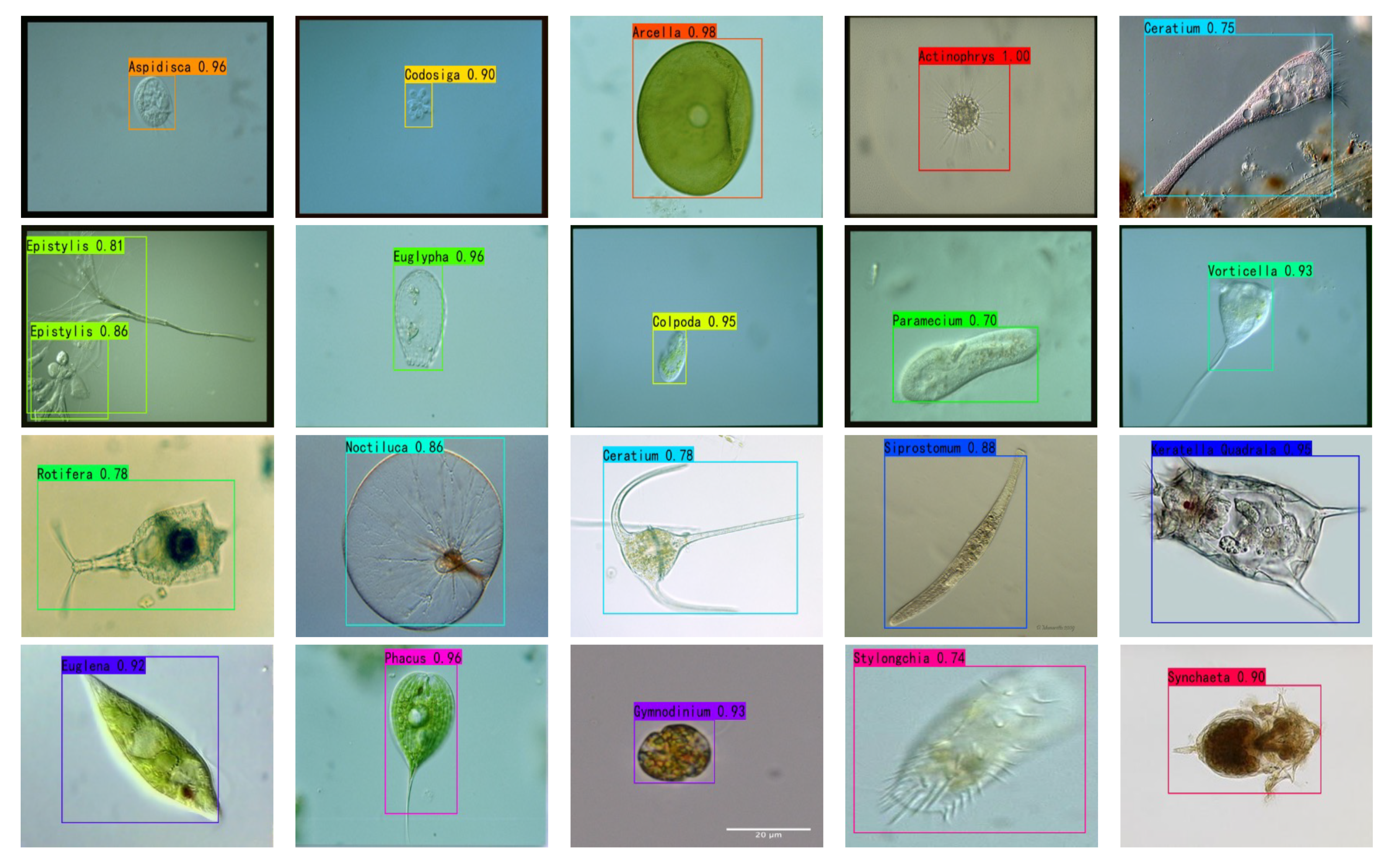 Applsci 12 09902 g012