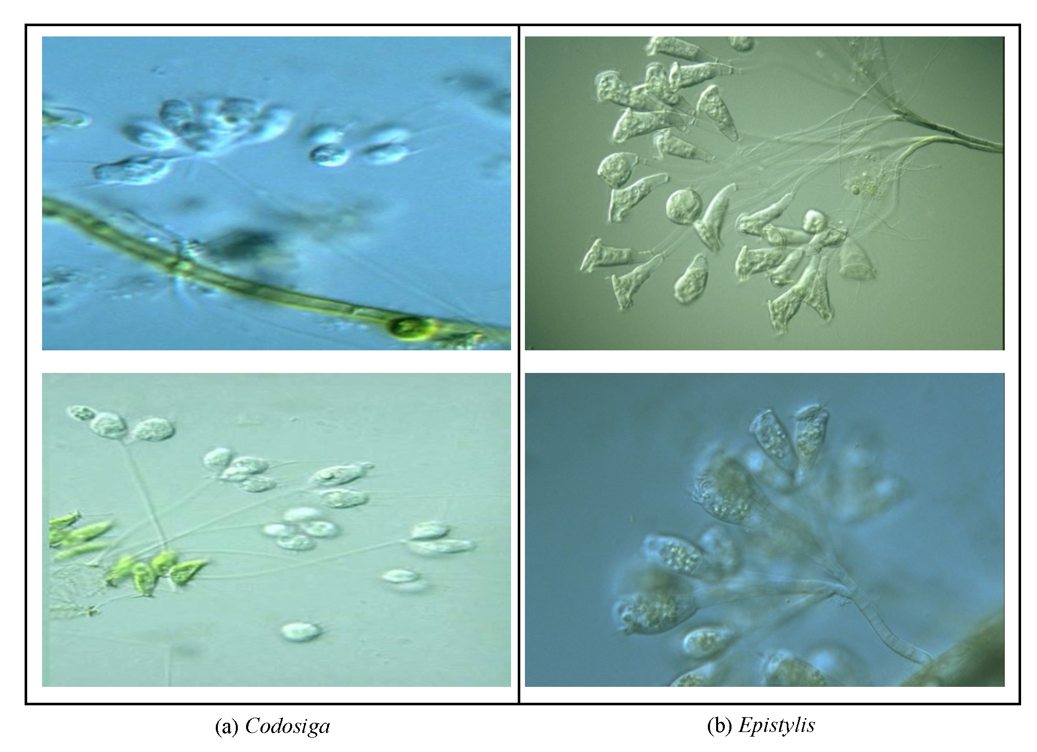 Applsci 12 09902 g015