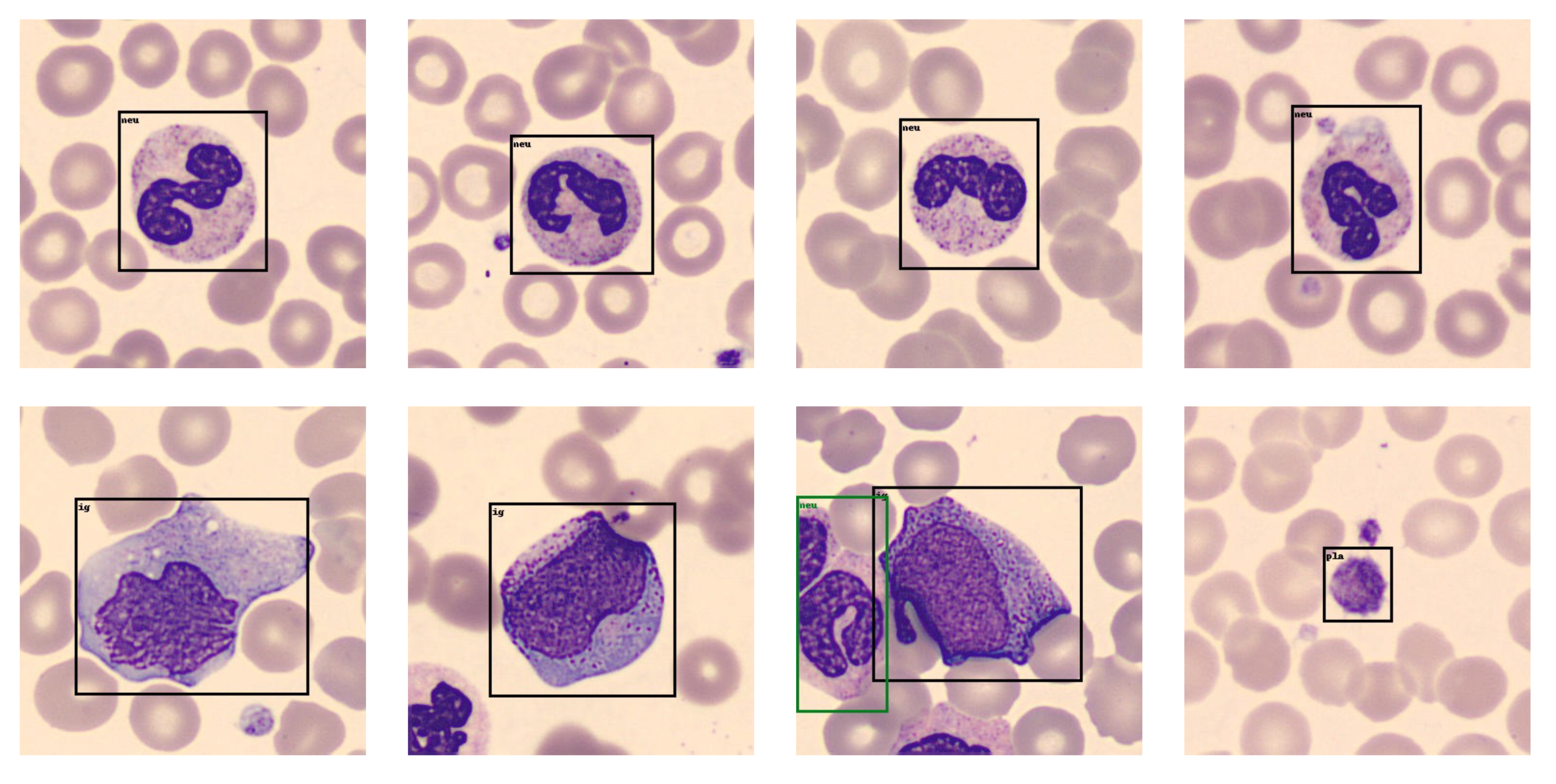 Applsci 12 09902 g017