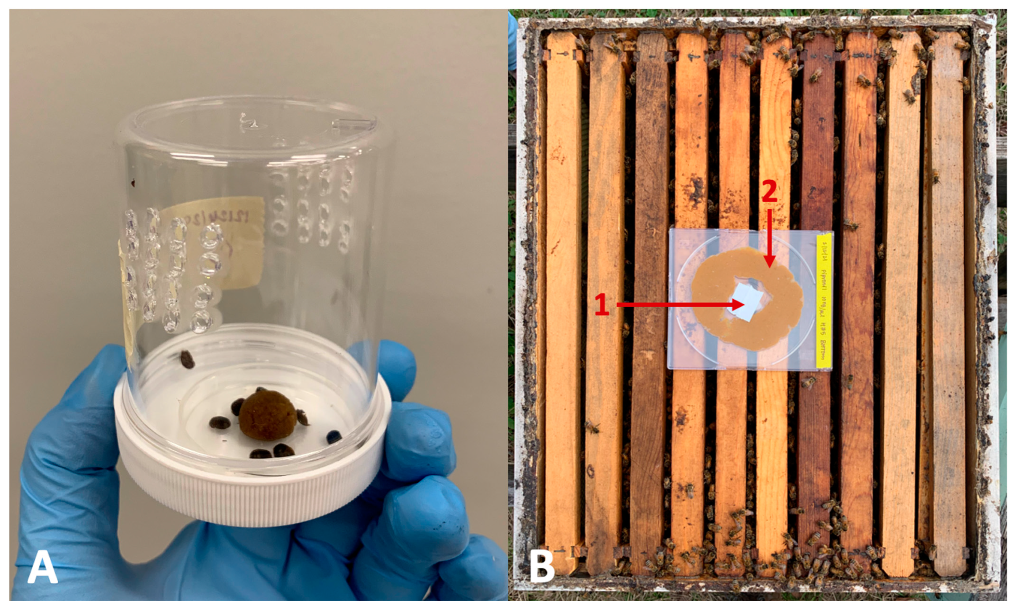 Applsci 12 09905 g001 Applsci 12 09905 g001