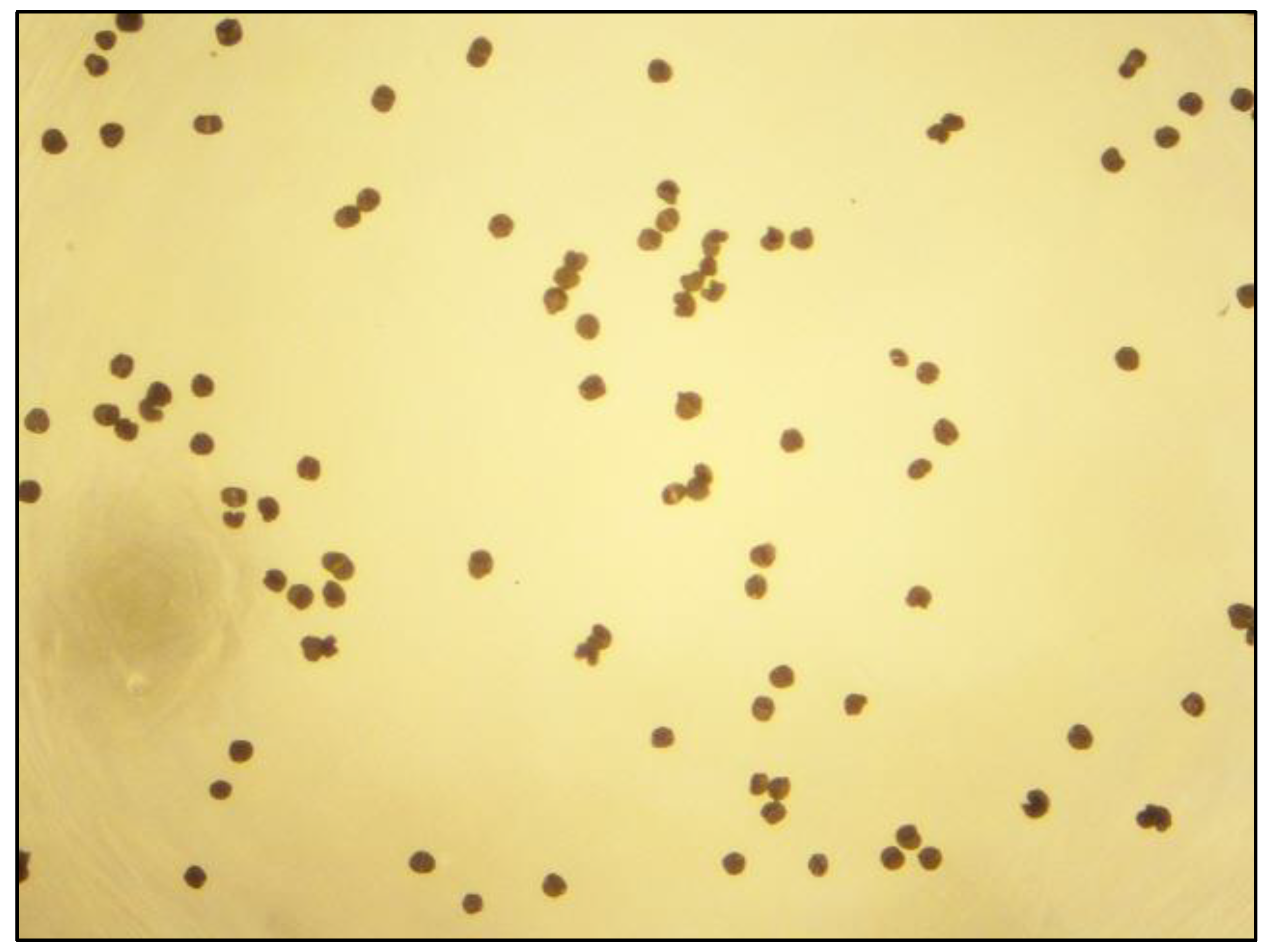 Applsci 12 09917 g004