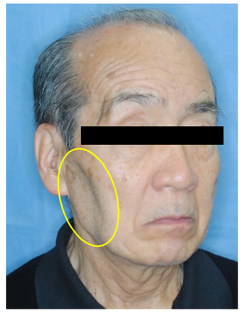 Applsci 12 09919 g001