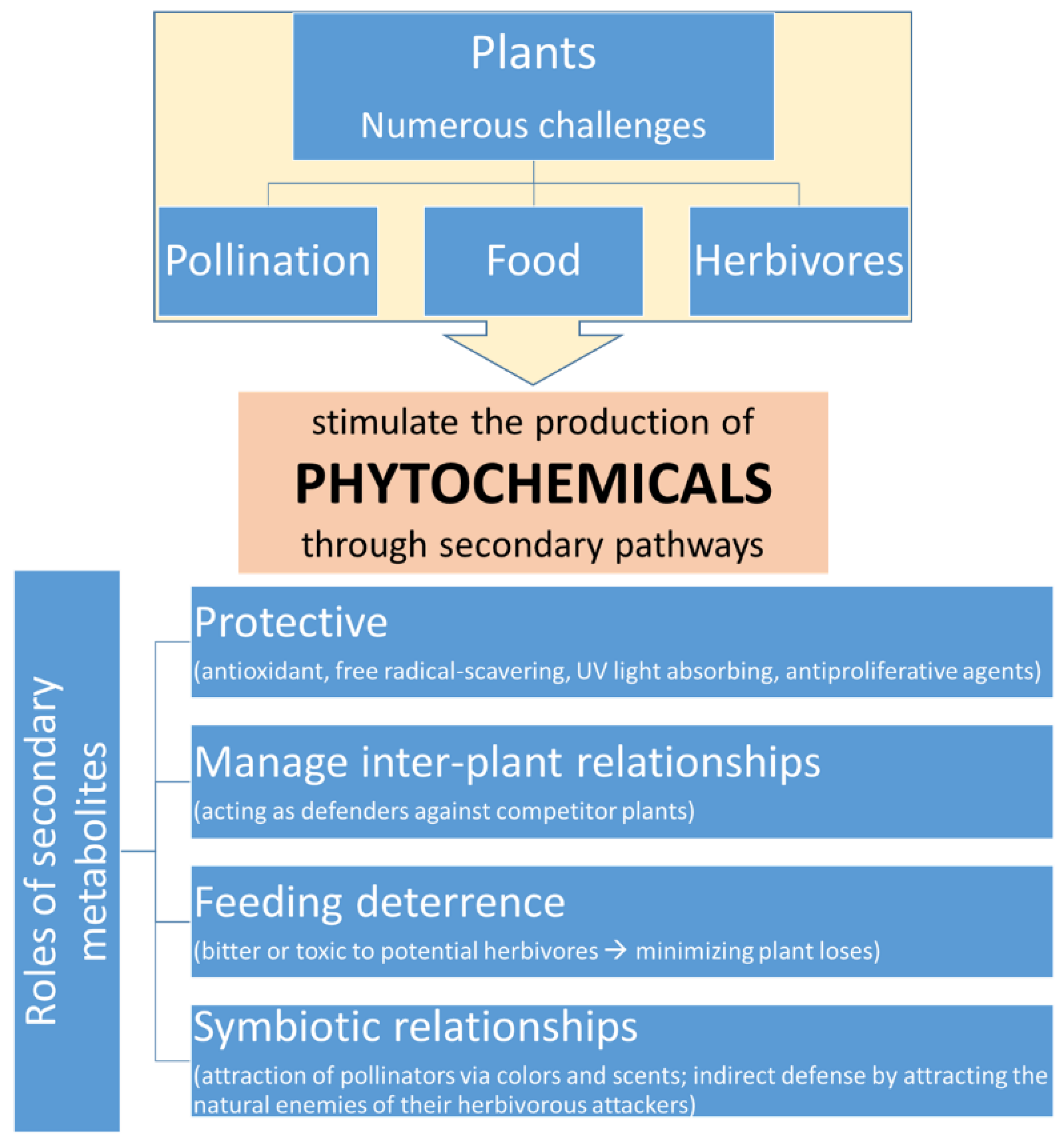 Applsci 12 09937 g001 Applsci 12 09937 g001