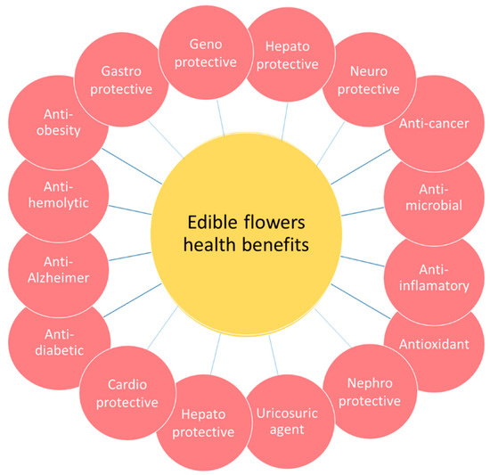 Applied Sciences Free FullText Phytochemicals and Antioxidant Properties of Edible Flowers