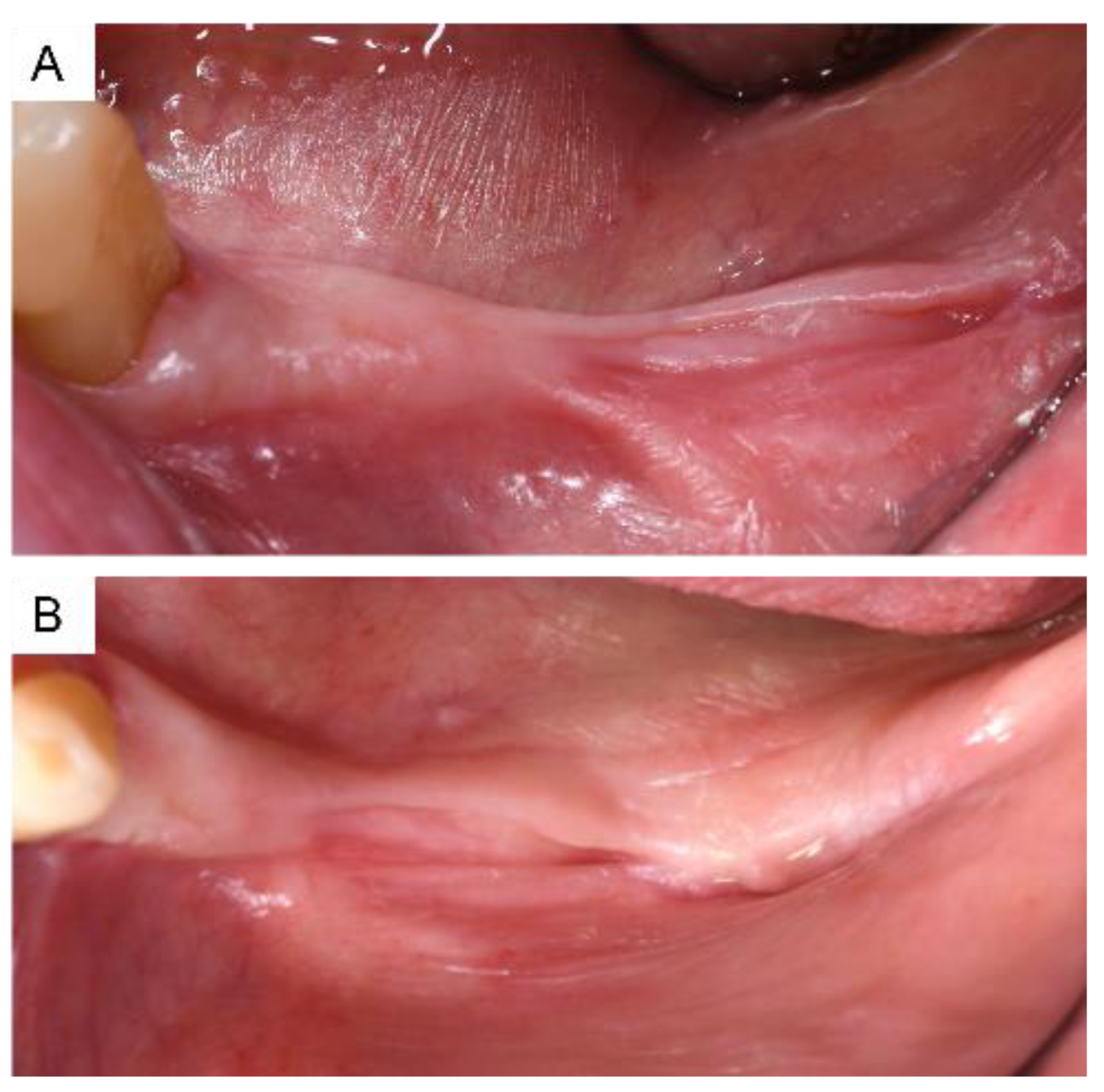 Applsci 12 09947 g001 Applsci 12 09947 g001