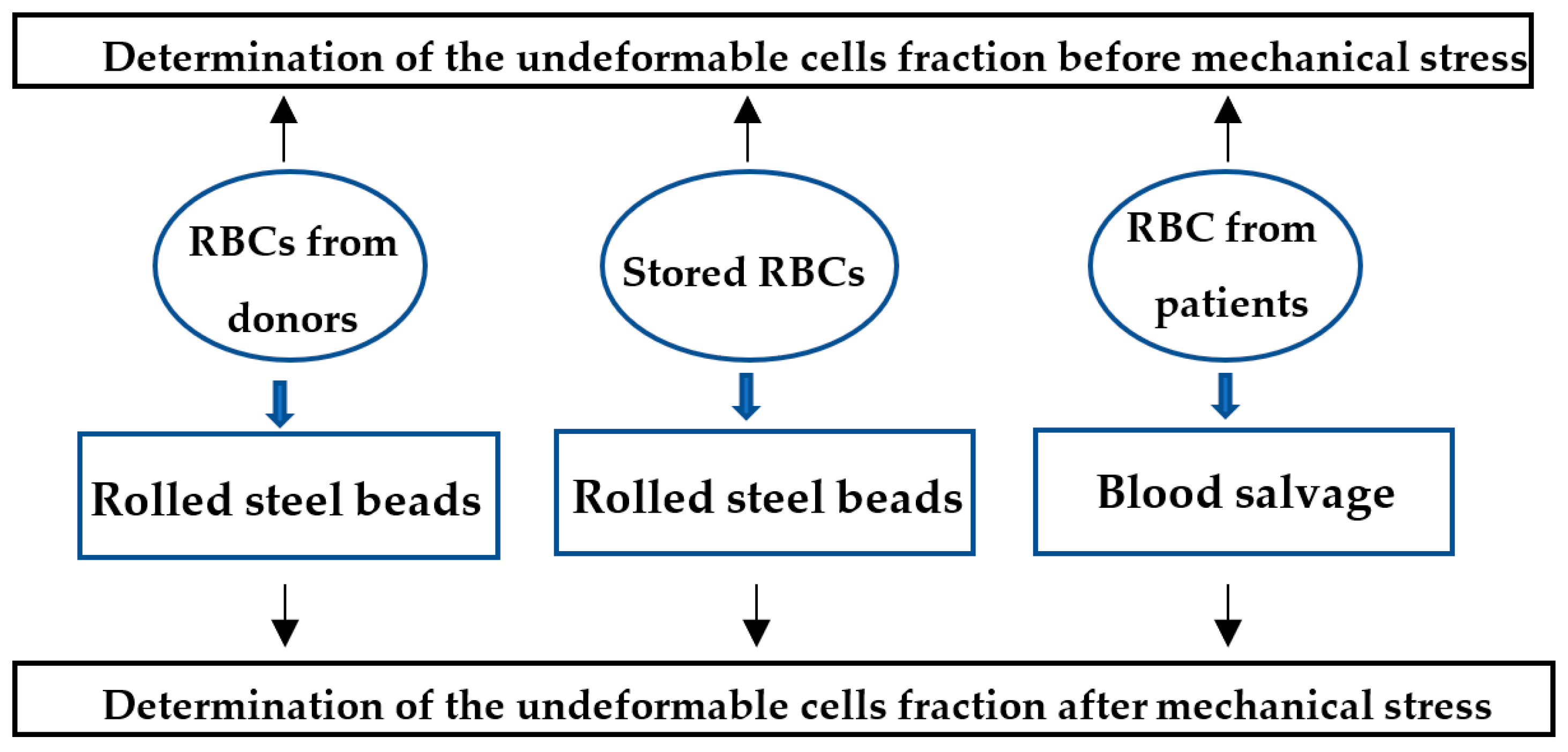 Applsci 12 09951 g001 Applsci 12 09951 g001