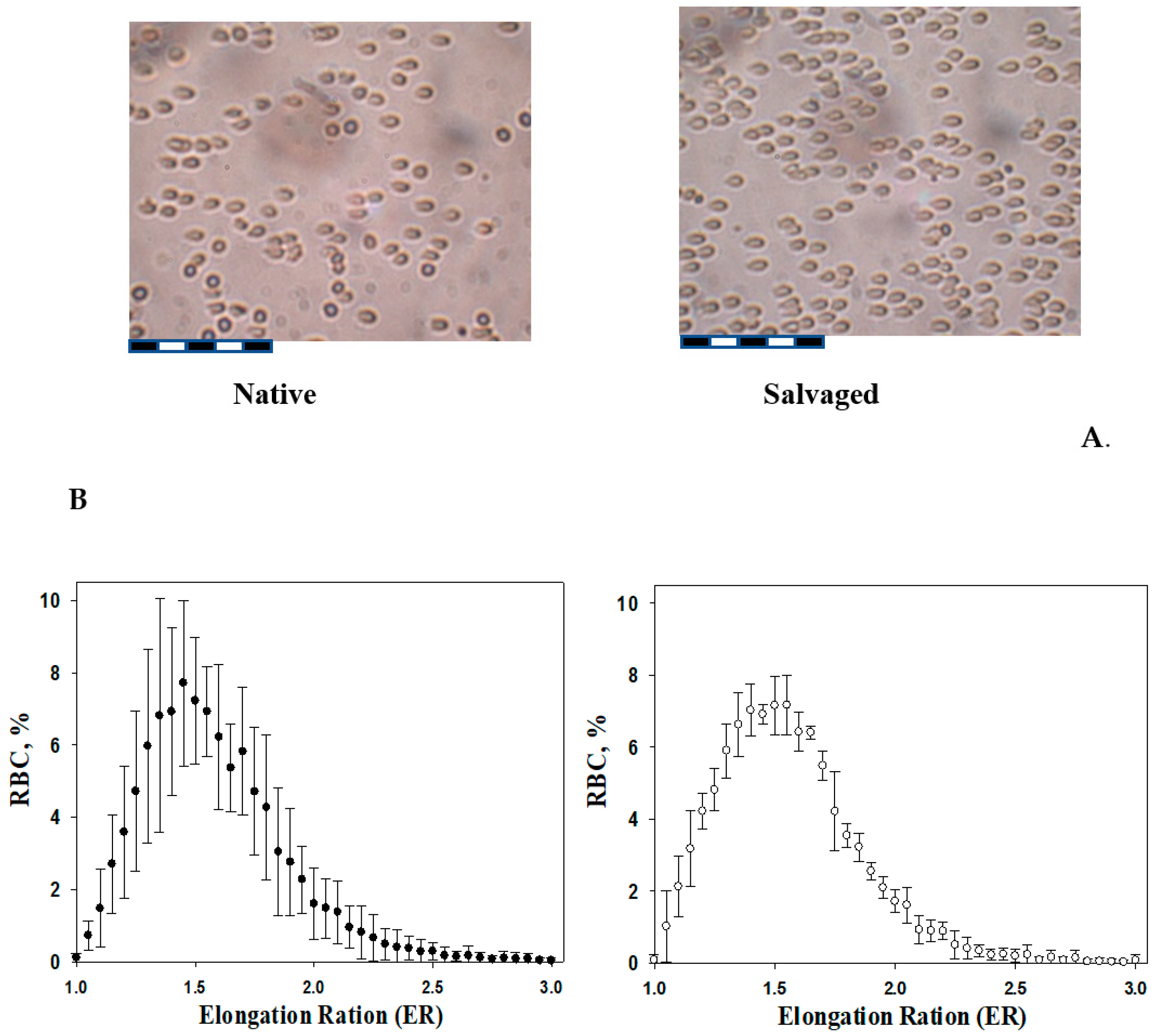 Applsci 12 09951 g006 Applsci 12 09951 g006