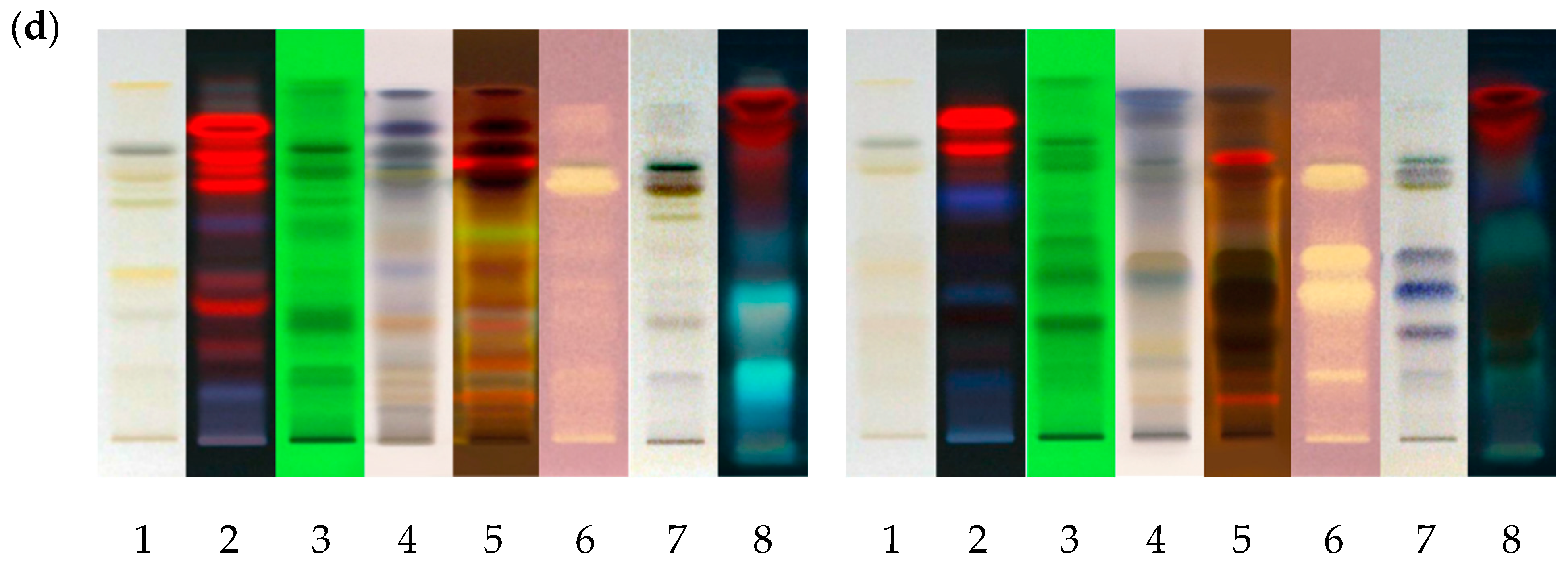 Applsci 12 09959 g002b Applsci 12 09959 g002b