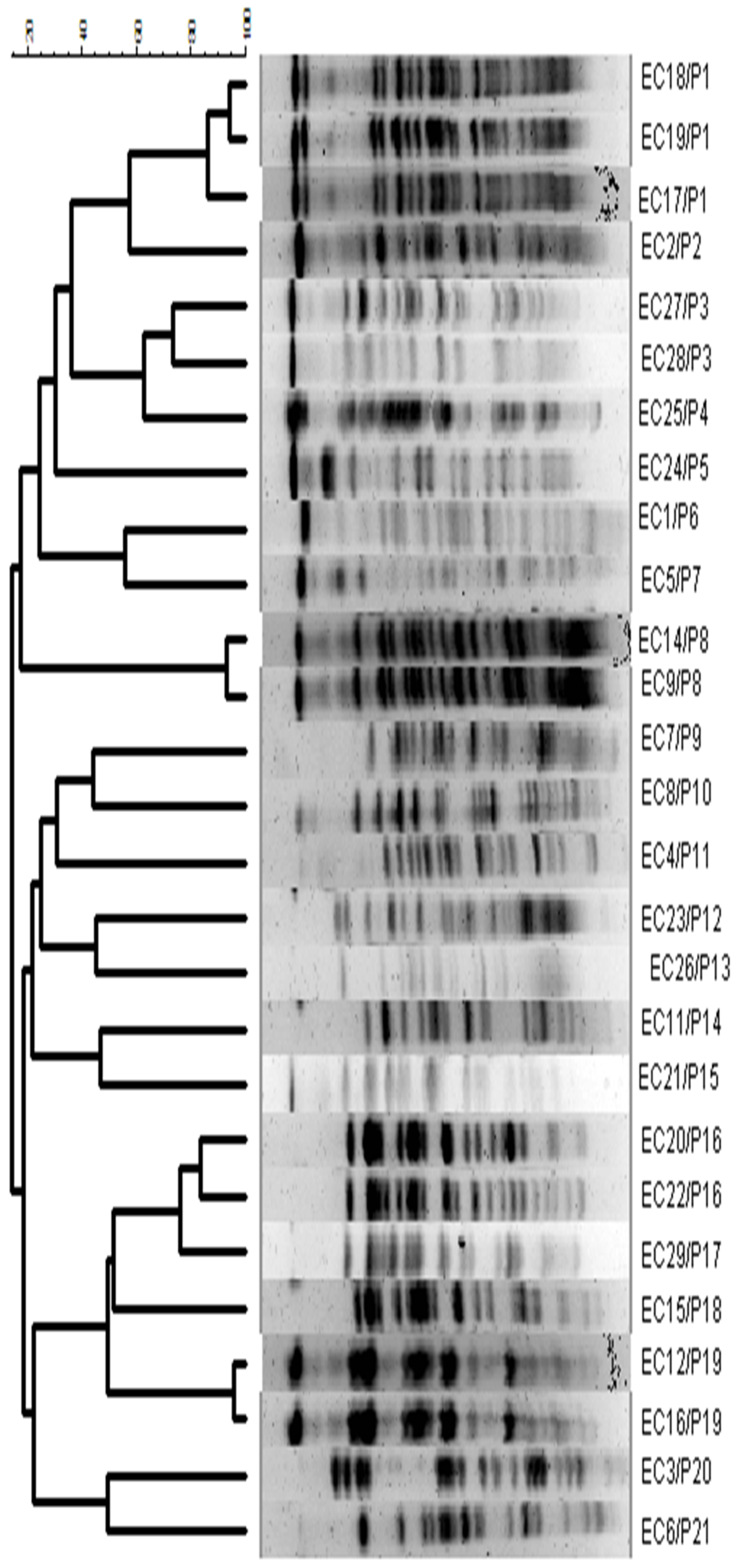 Applsci 12 09964 g002 Applsci 12 09964 g002