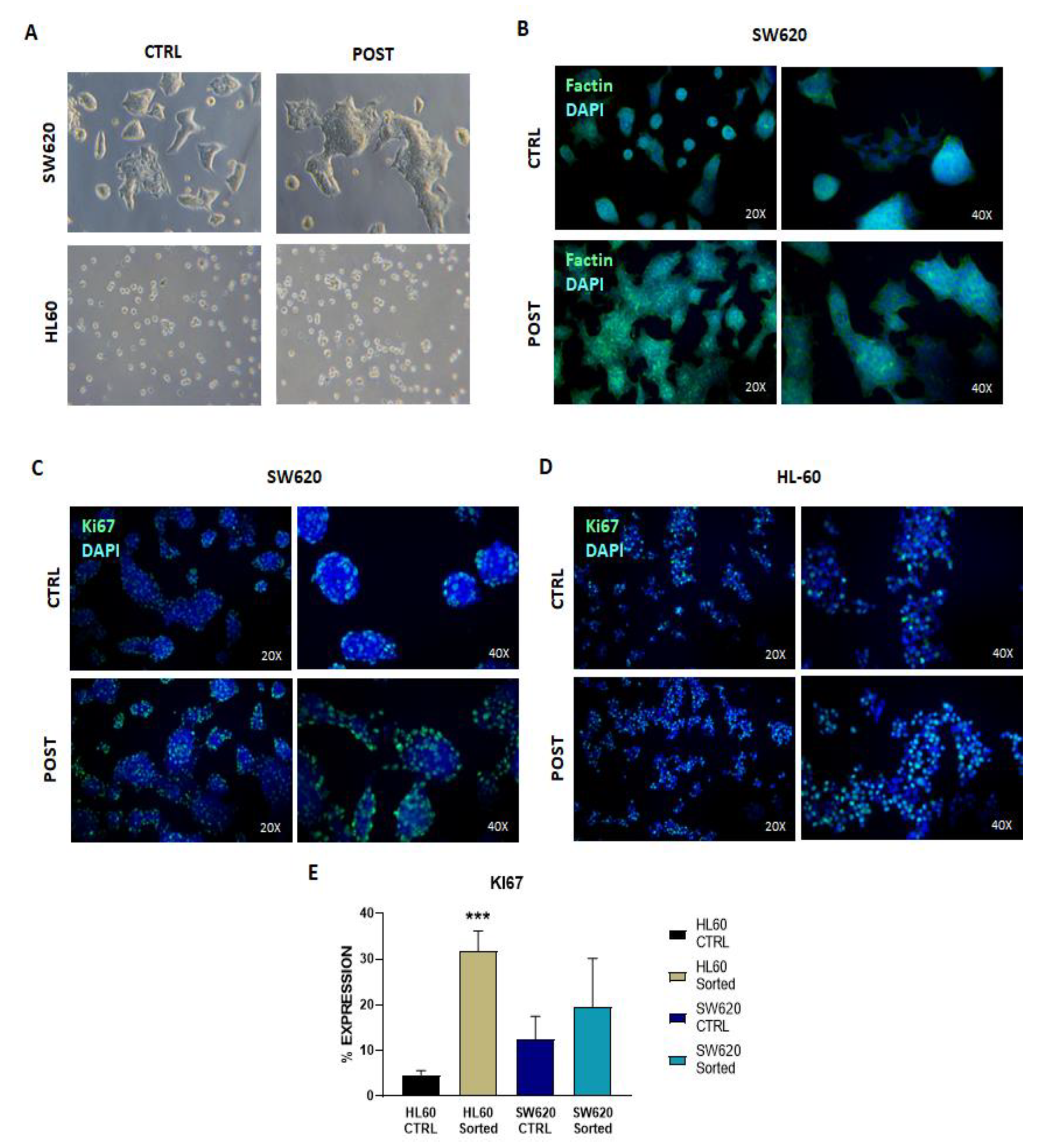 Applsci 12 09967 g004 Applsci 12 09967 g004