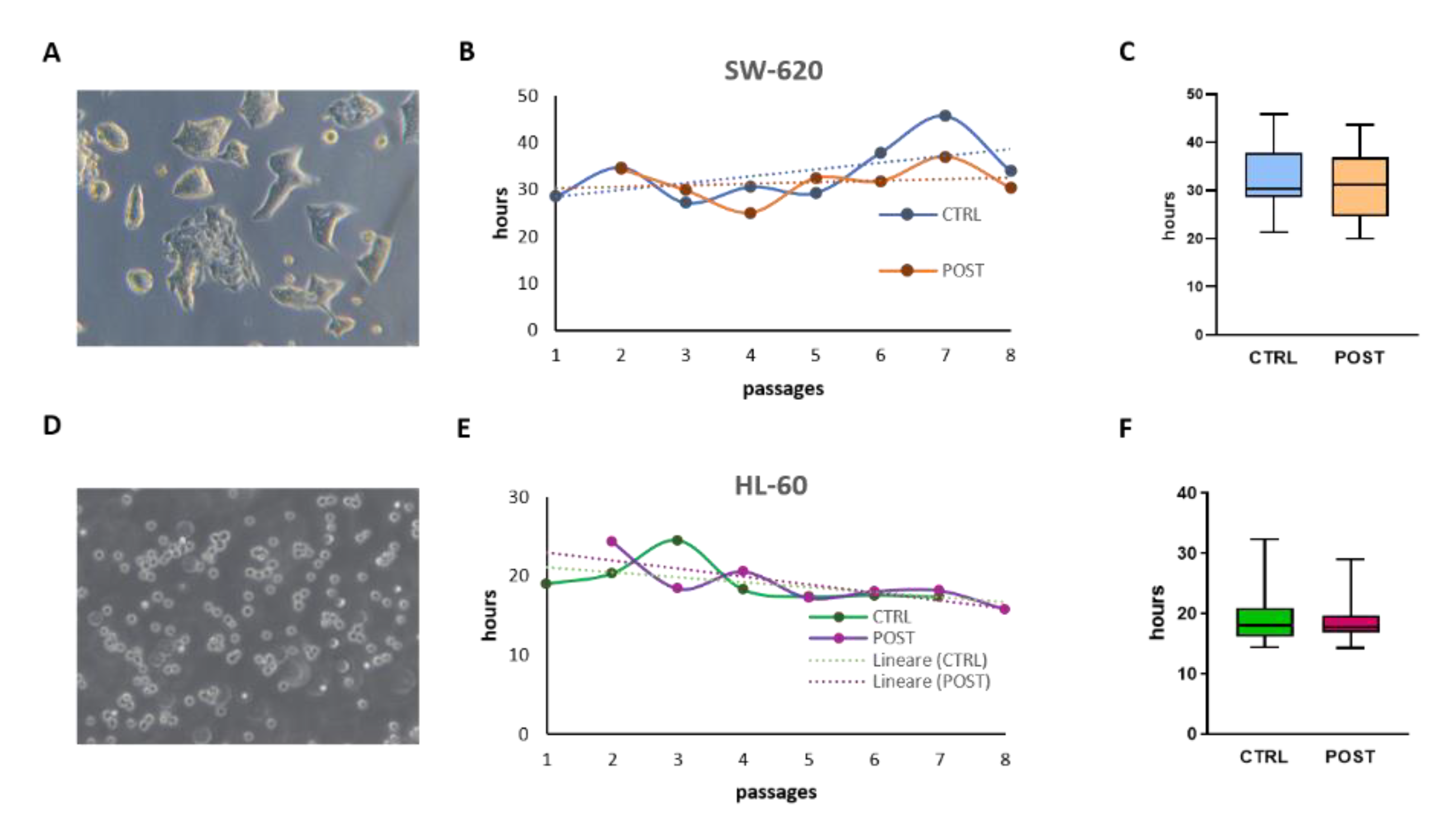 Applsci 12 09967 g005 Applsci 12 09967 g005