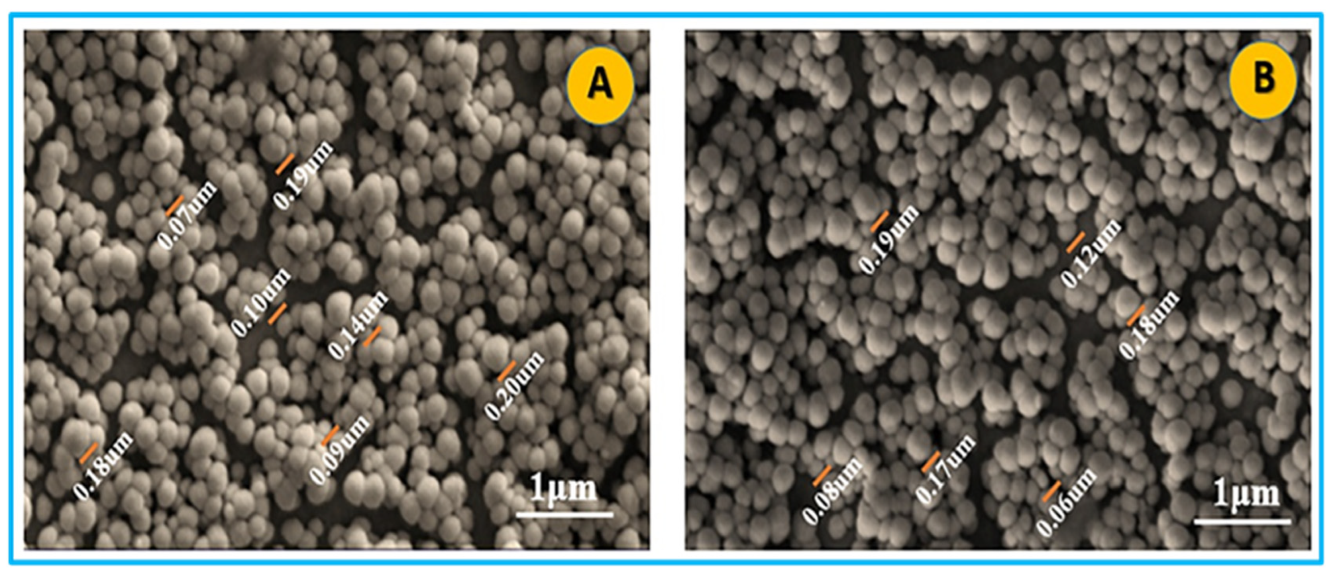 Applsci 12 09968 g002