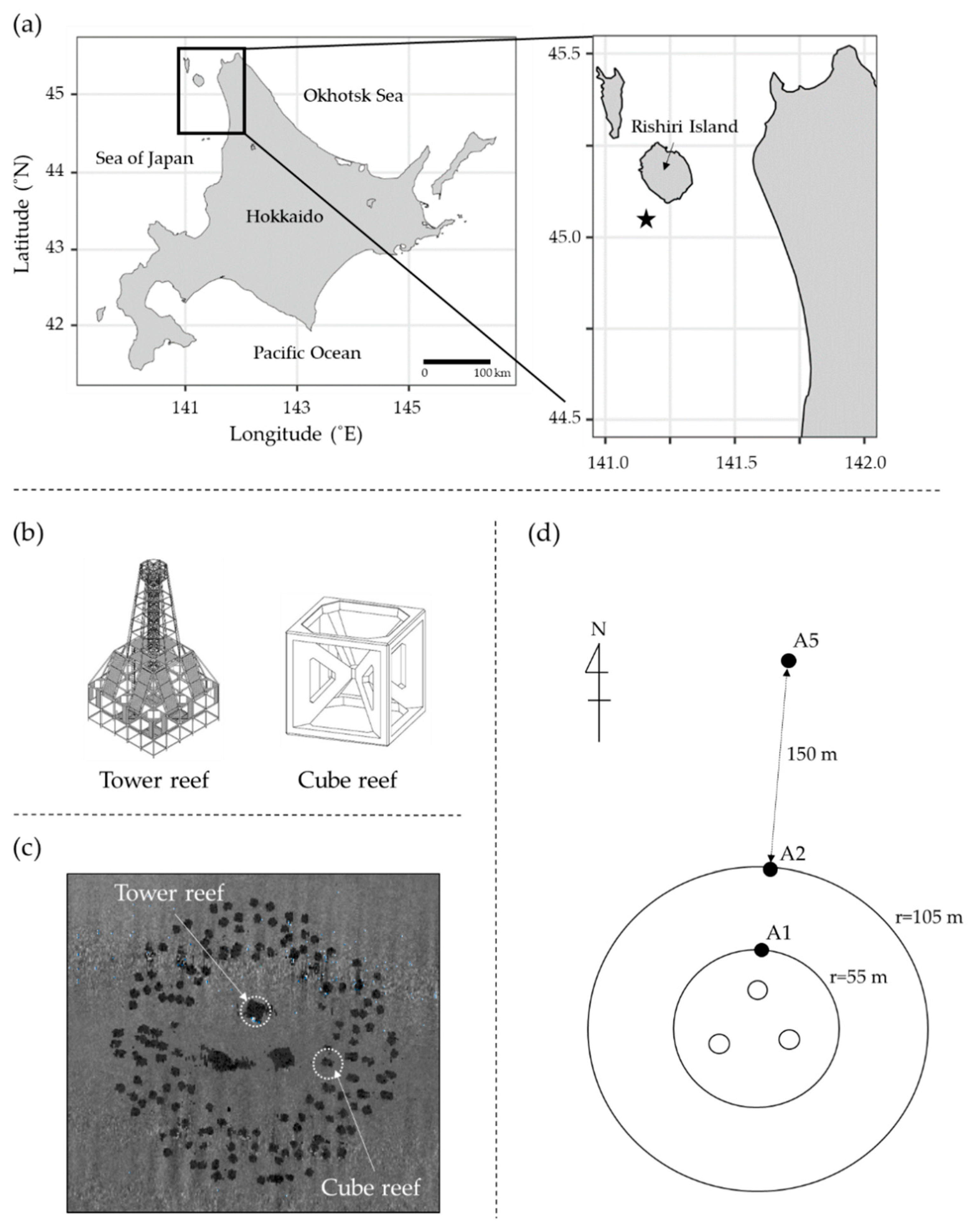 Applsci 12 09972 g001 Applsci 12 09972 g001