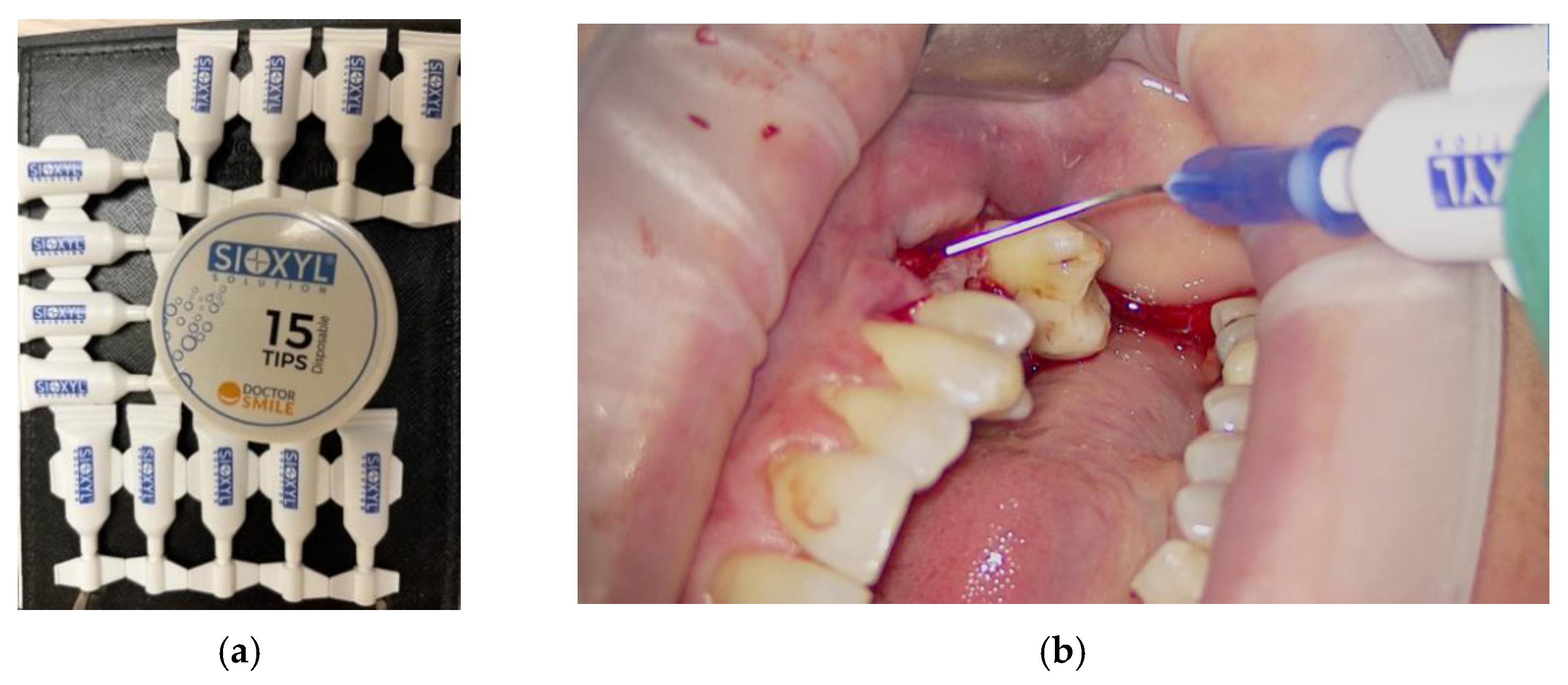 Applsci 12 09995 g003