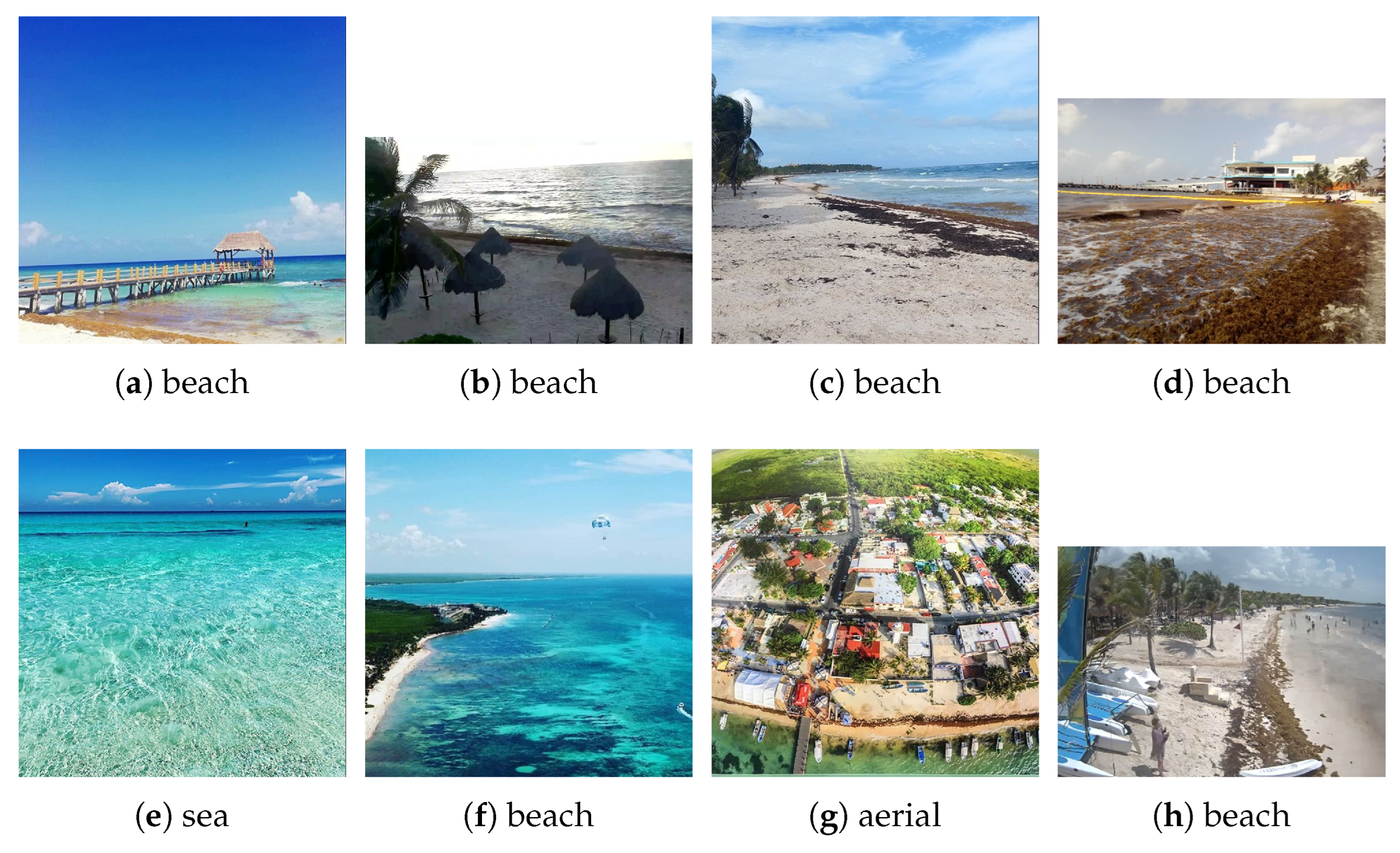 Applsci 12 10012 g001 Applsci 12 10012 g001