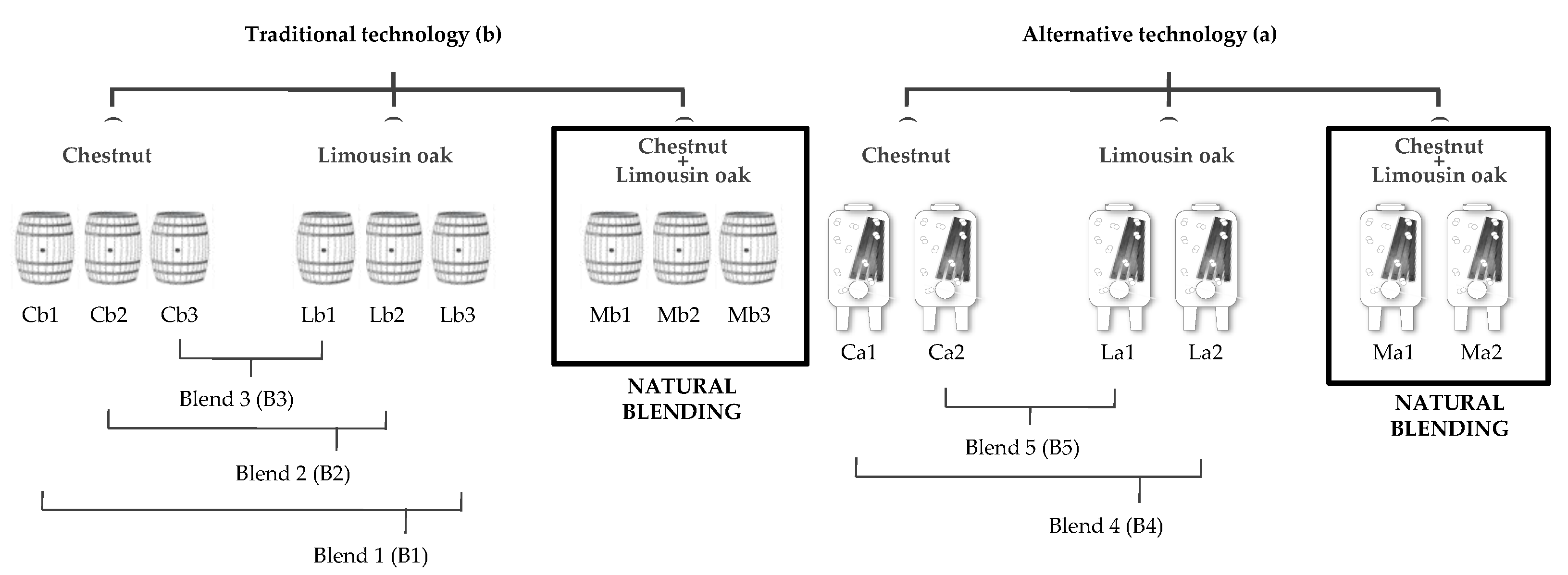 Applsci 12 10055 g001