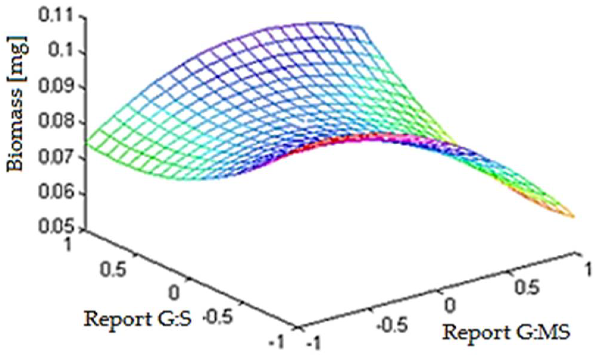 Applsci 12 10069 g002 Applsci 12 10069 g002