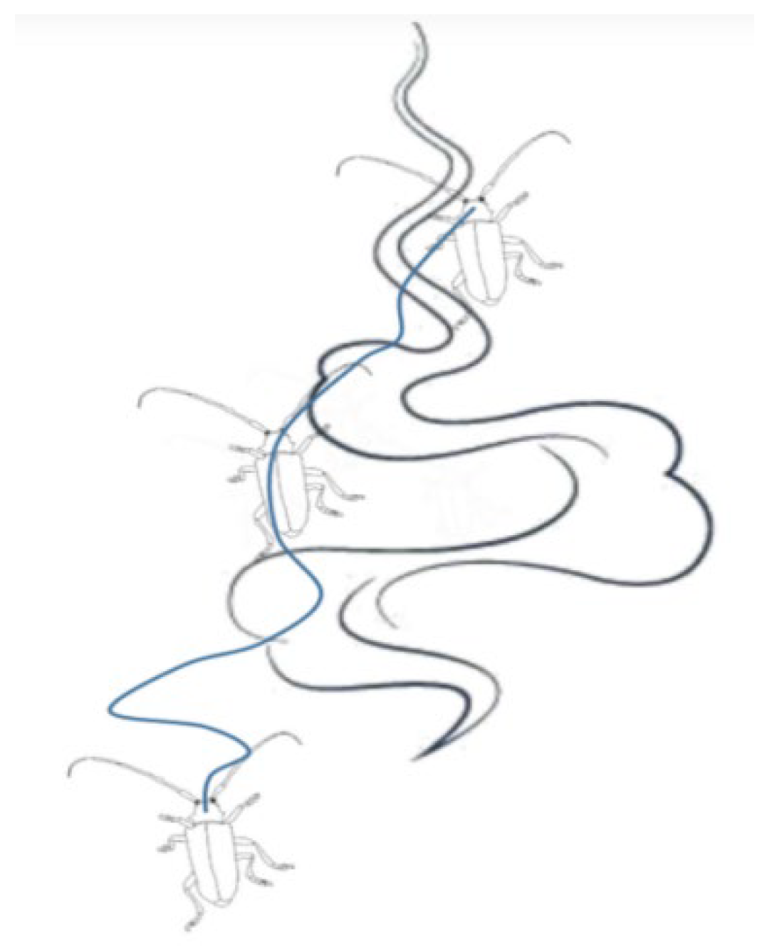 Applsci 12 10144 g002