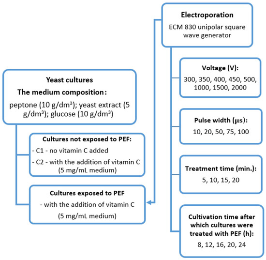 Accumulation of Vitamin C in Yeast under Pulsed Electric Field 