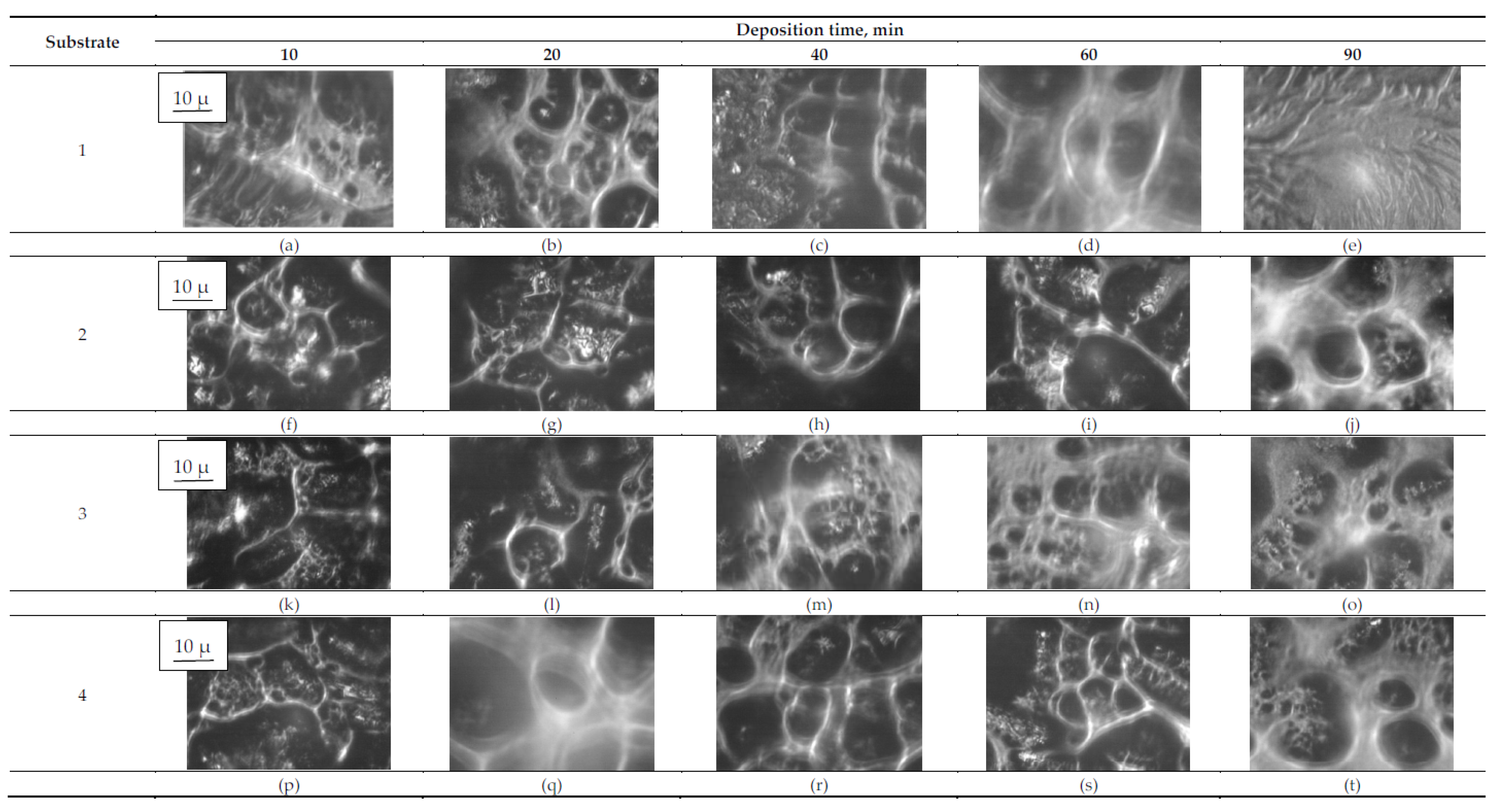 Applsci 12 10210 g003 Applsci 12 10210 g003