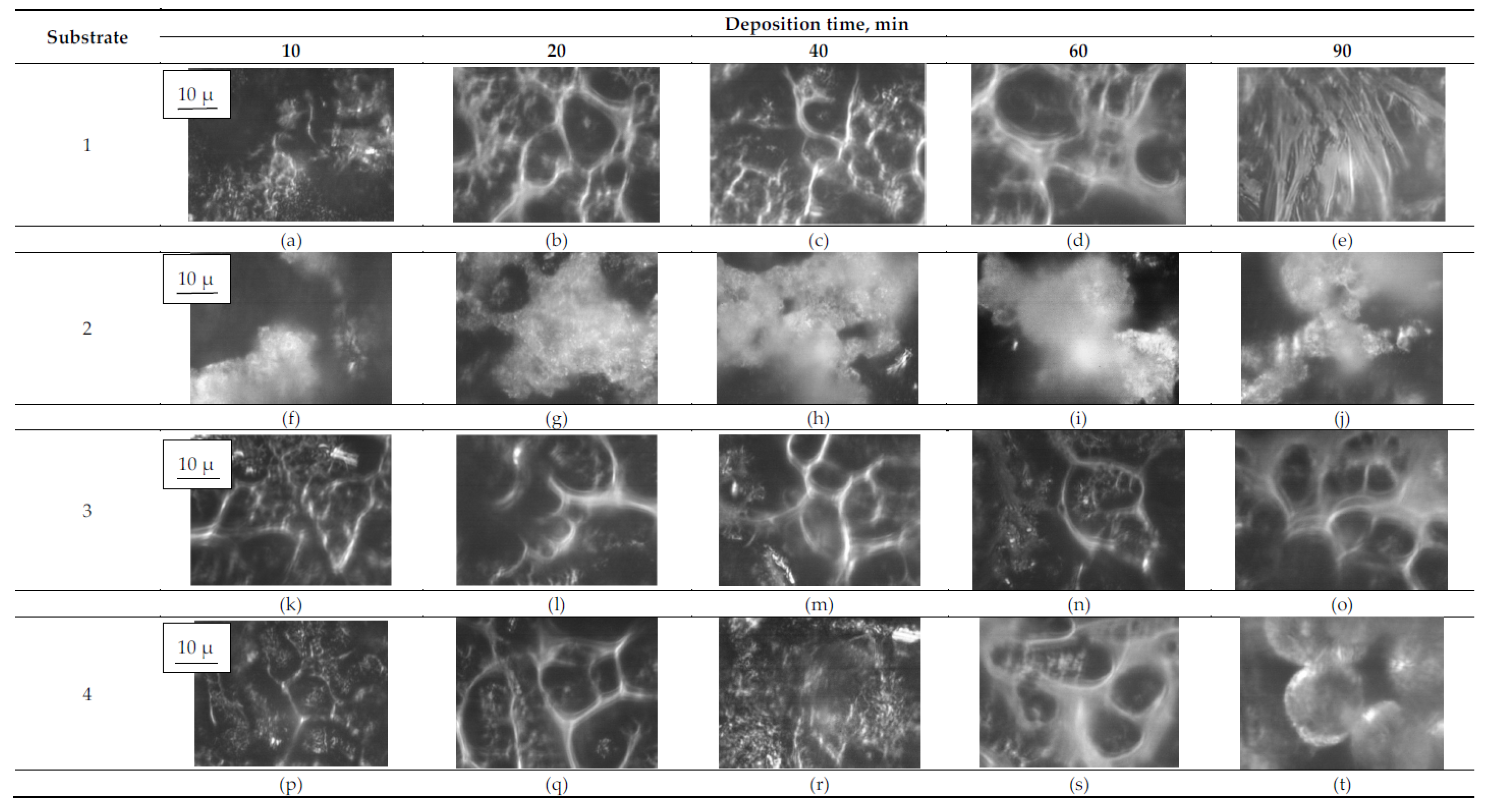 Applsci 12 10210 g004 Applsci 12 10210 g004