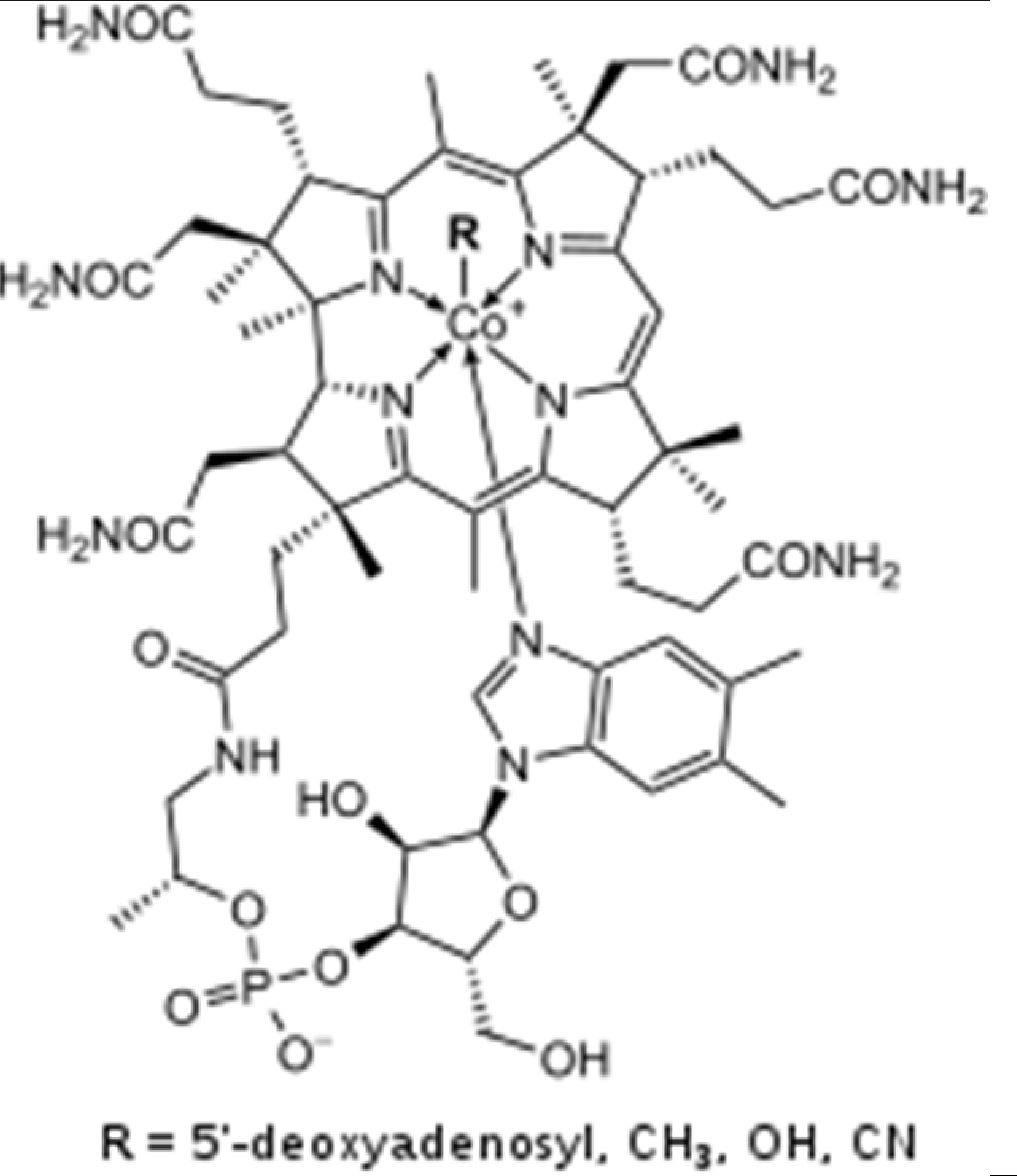 Applsci 12 10210 i003 Applsci 12 10210 i003