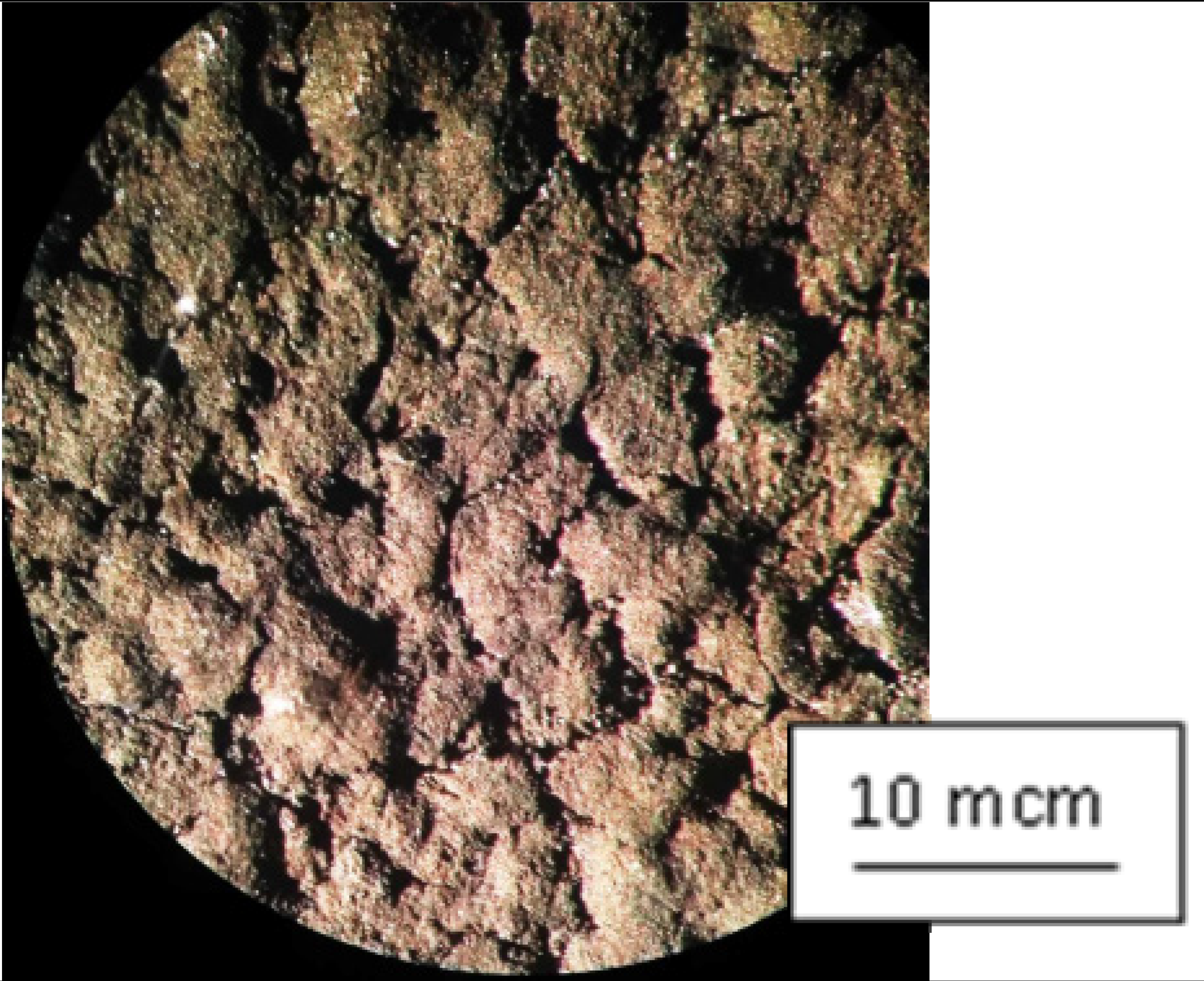 Applsci 12 10210 i004 Applsci 12 10210 i004