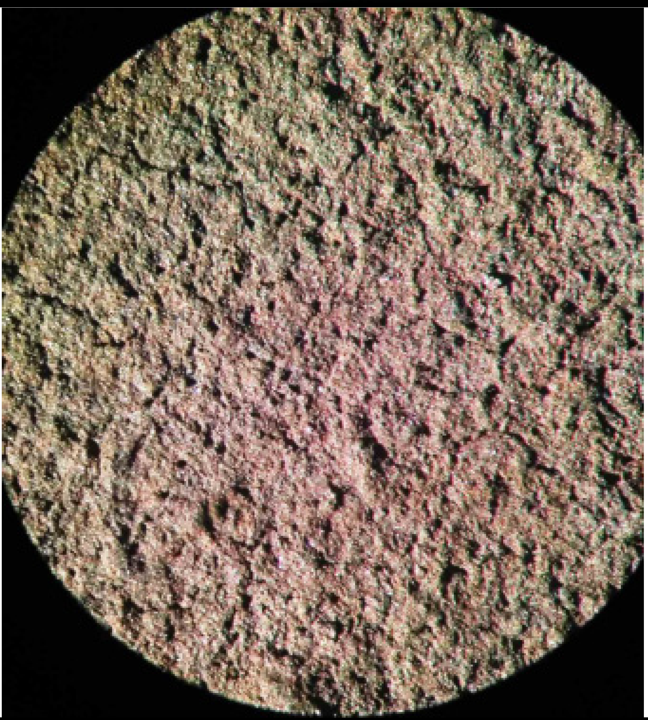 Applsci 12 10210 i006 Applsci 12 10210 i006