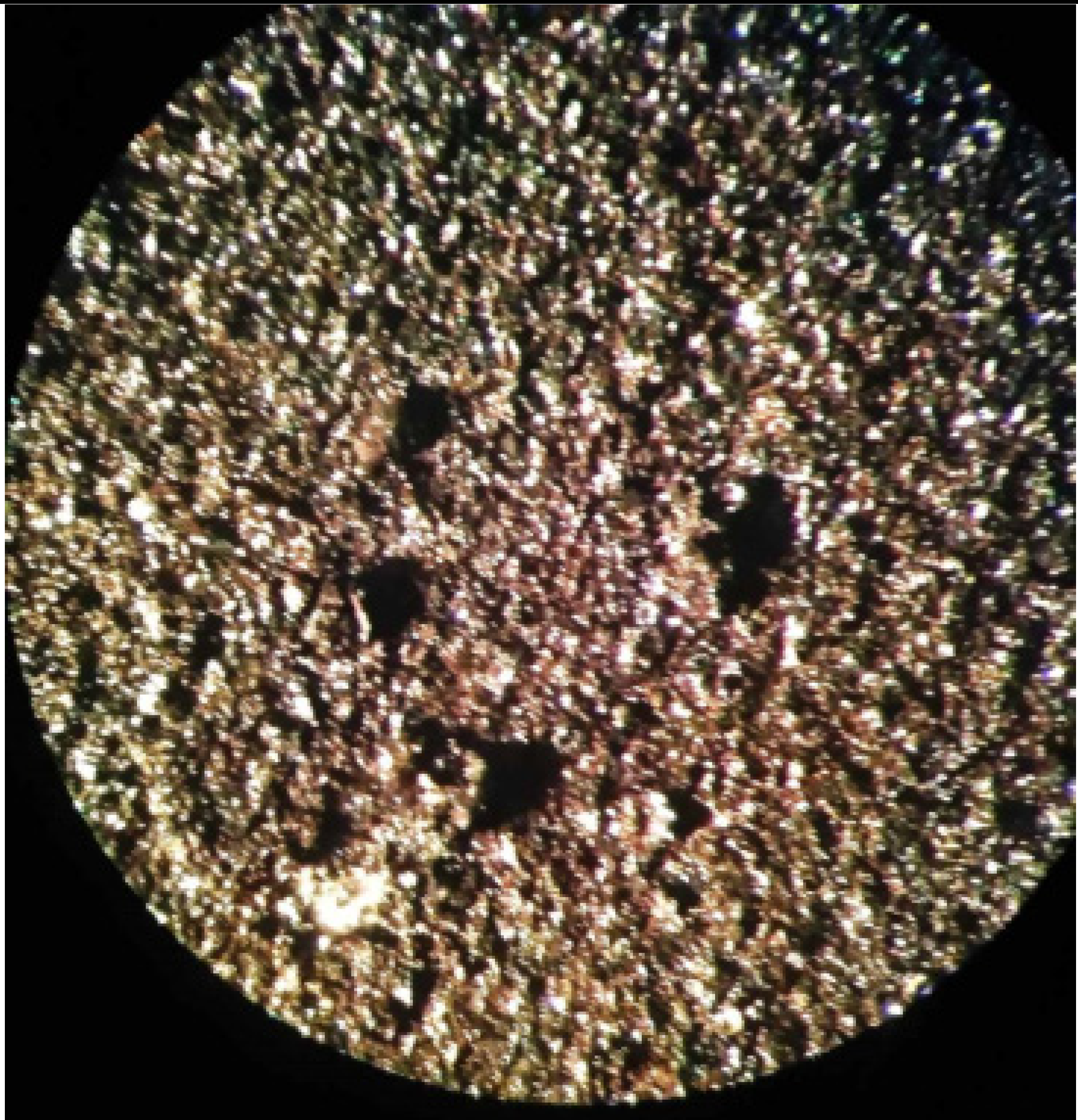 Applsci 12 10210 i008 Applsci 12 10210 i008