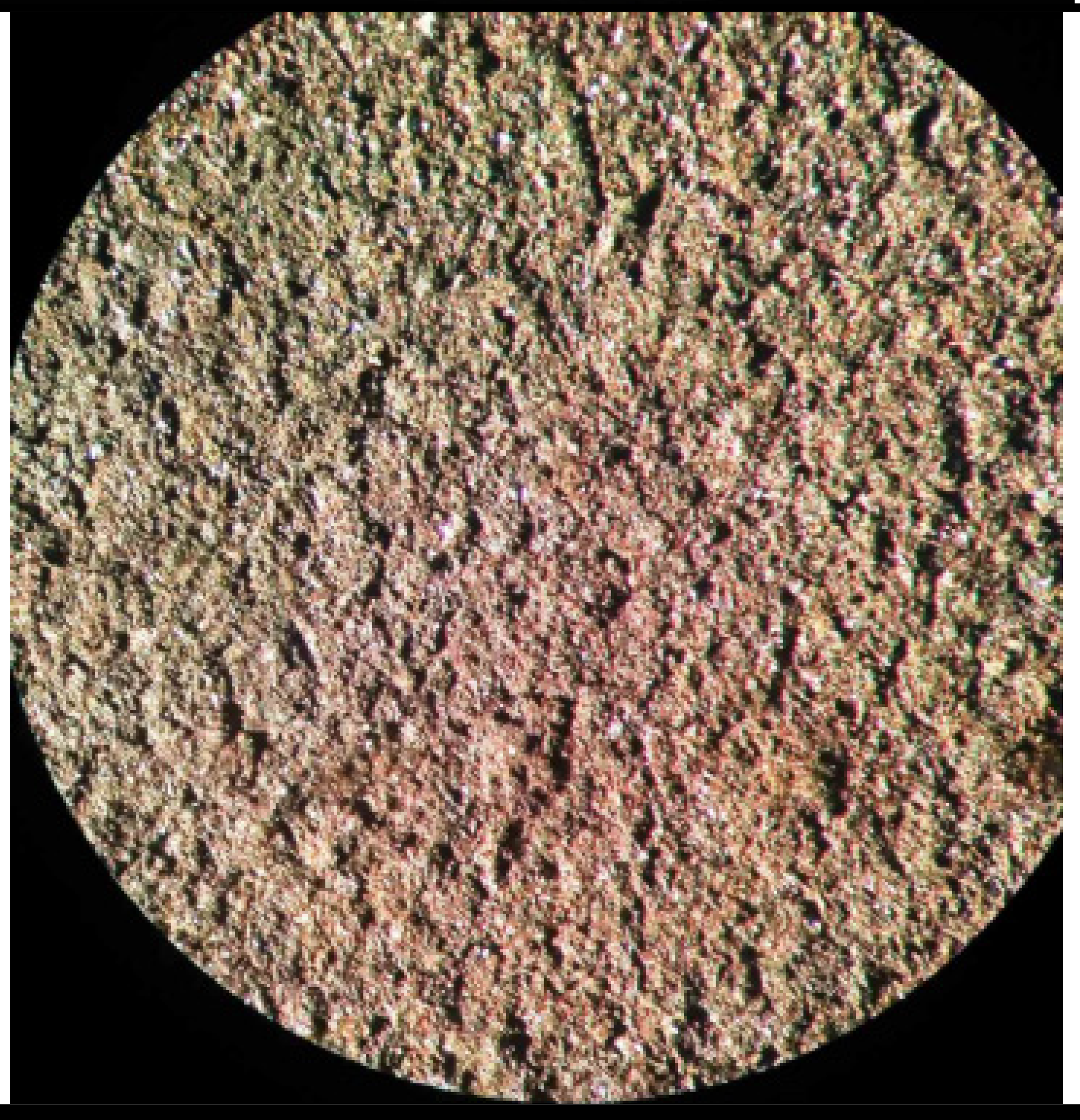 Applsci 12 10210 i010 Applsci 12 10210 i010