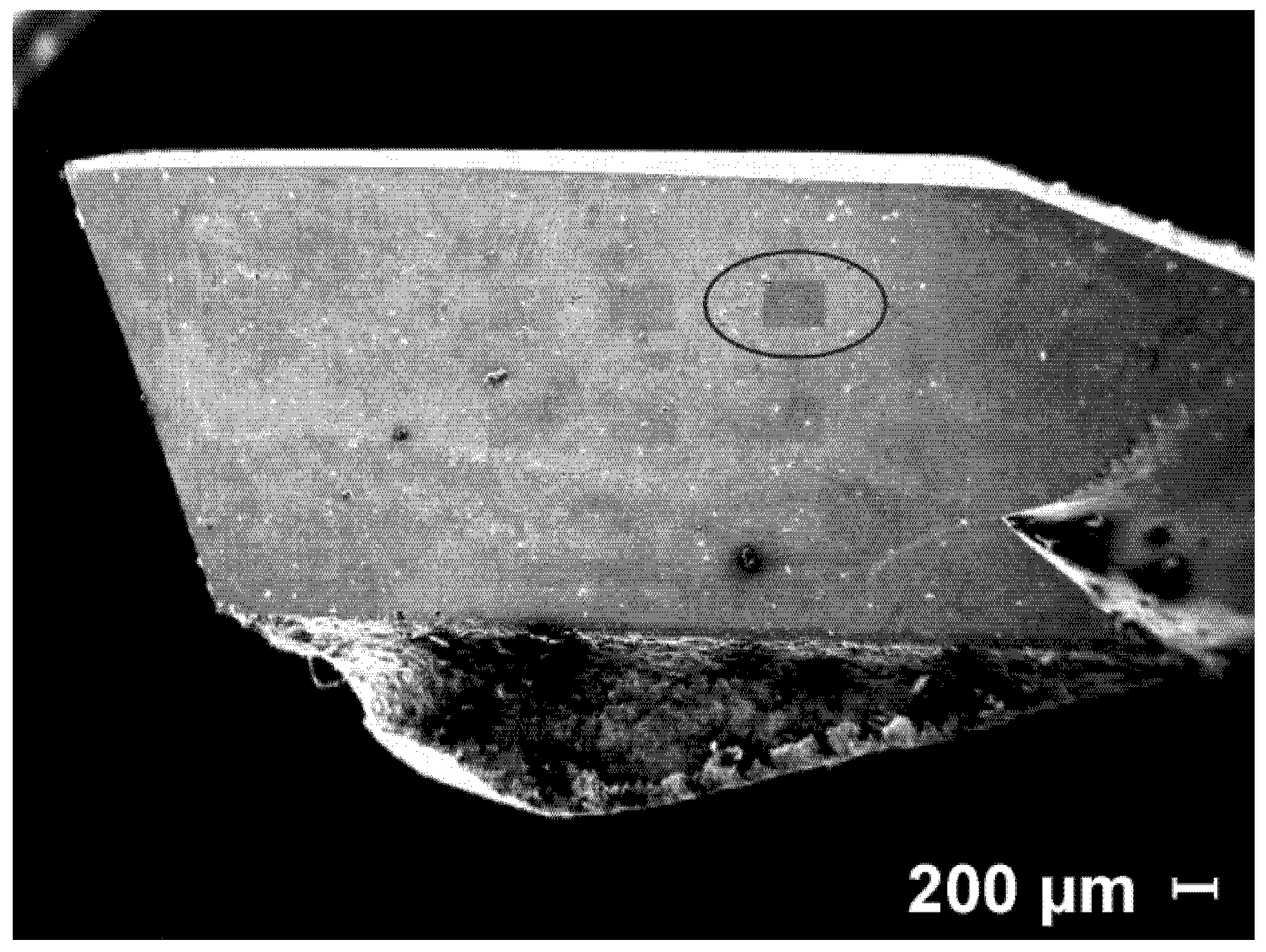 Applsci 12 10211 g008