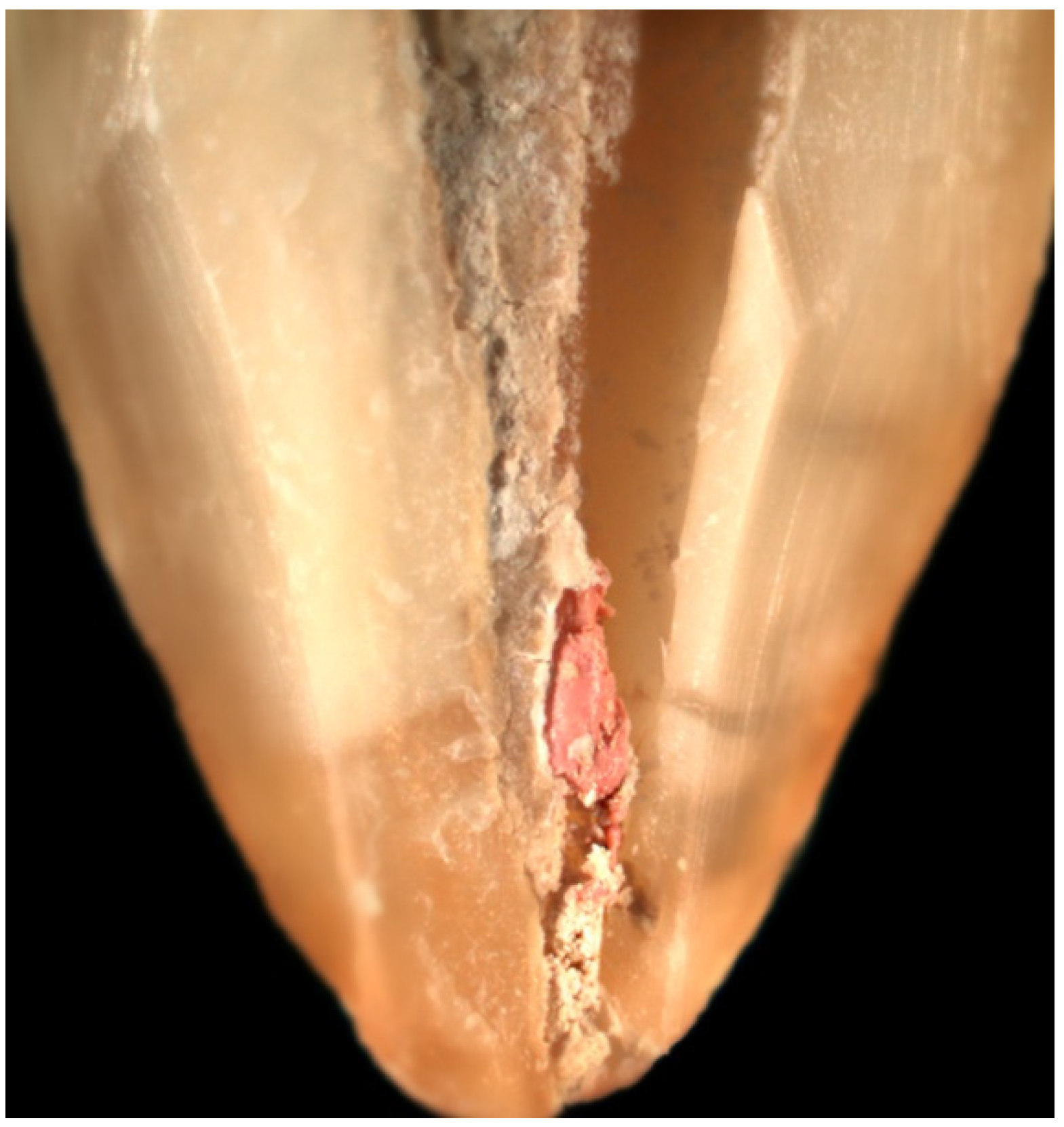 Applsci 12 10217 g002 550