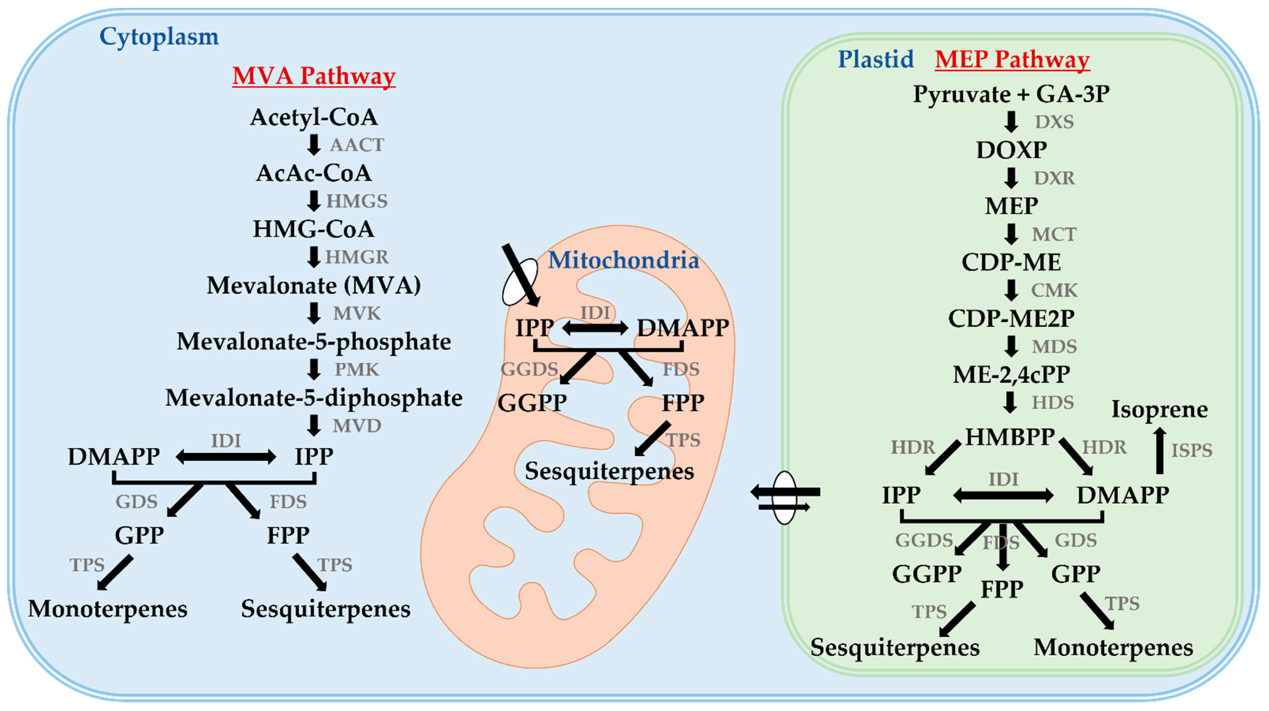 Applsci 12 10238 g001