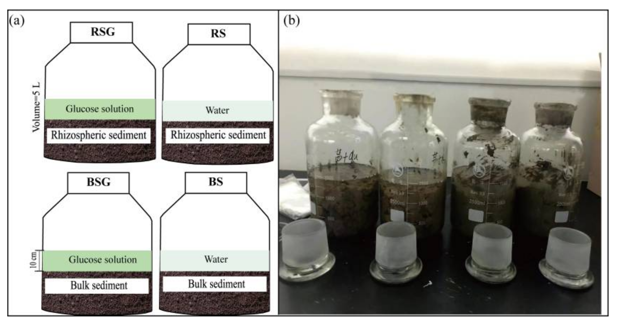 Applsci 12 10239 g001 Applsci 12 10239 g001