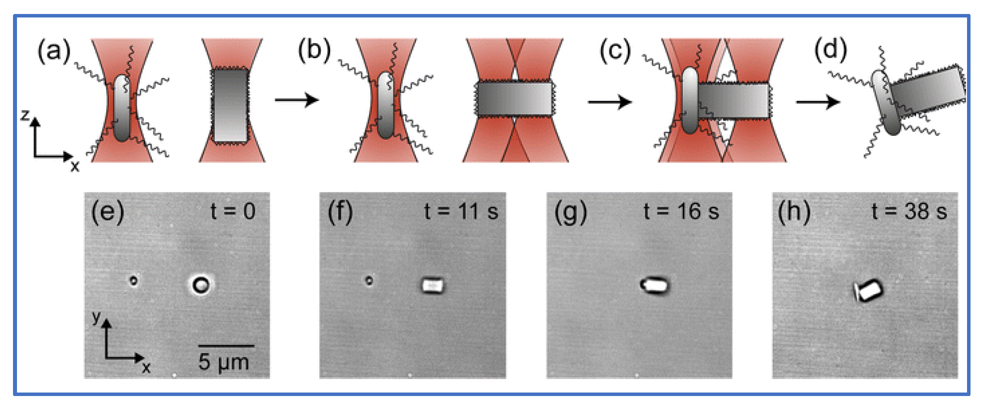 Applsci 12 10244 g007 Applsci 12 10244 g007