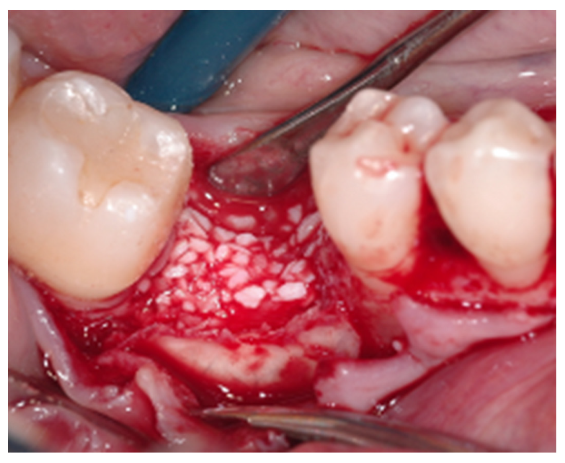 Applsci 12 10285 g001 Applsci 12 10285 g001