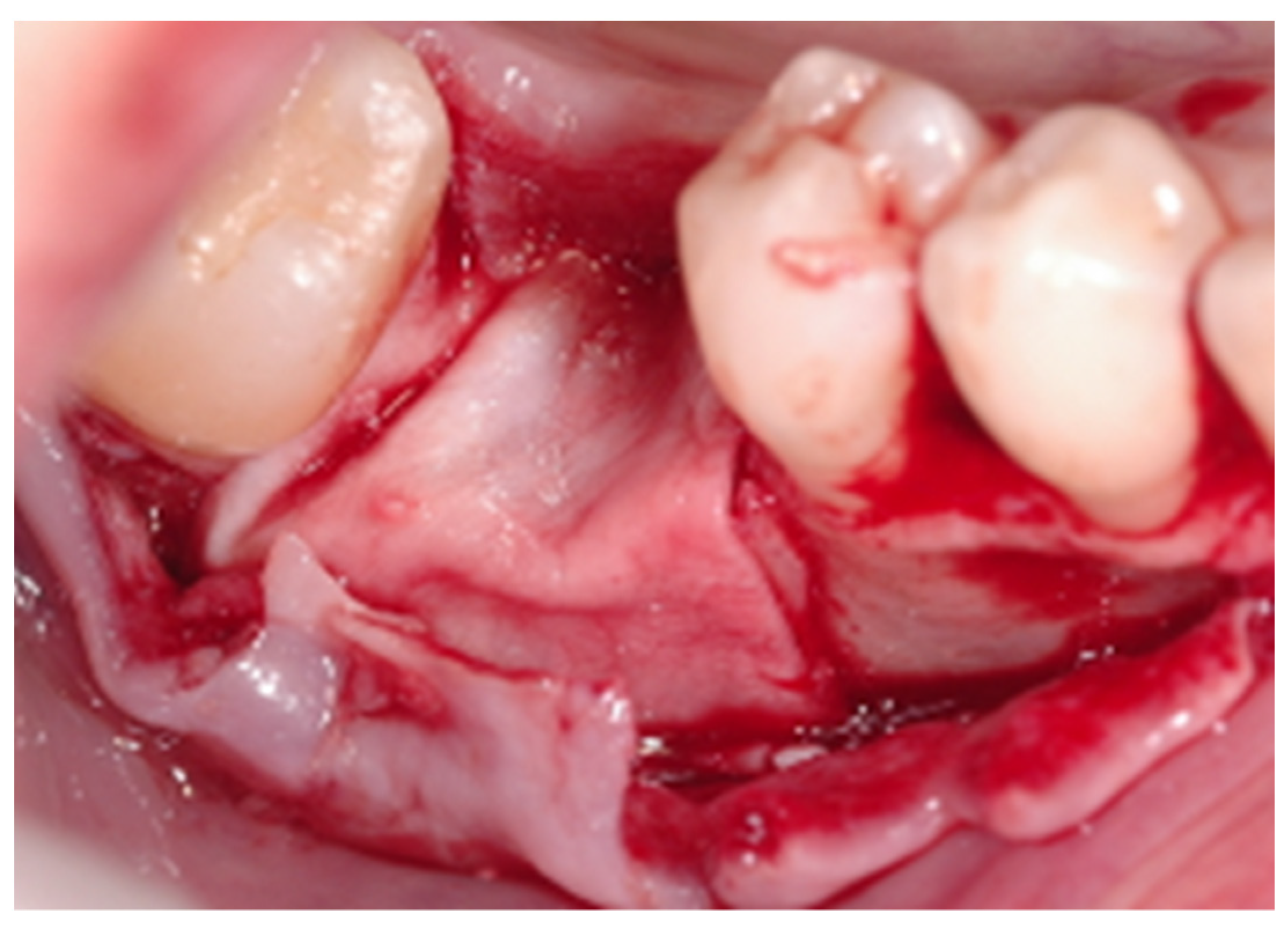 Applsci 12 10285 g003 Applsci 12 10285 g003