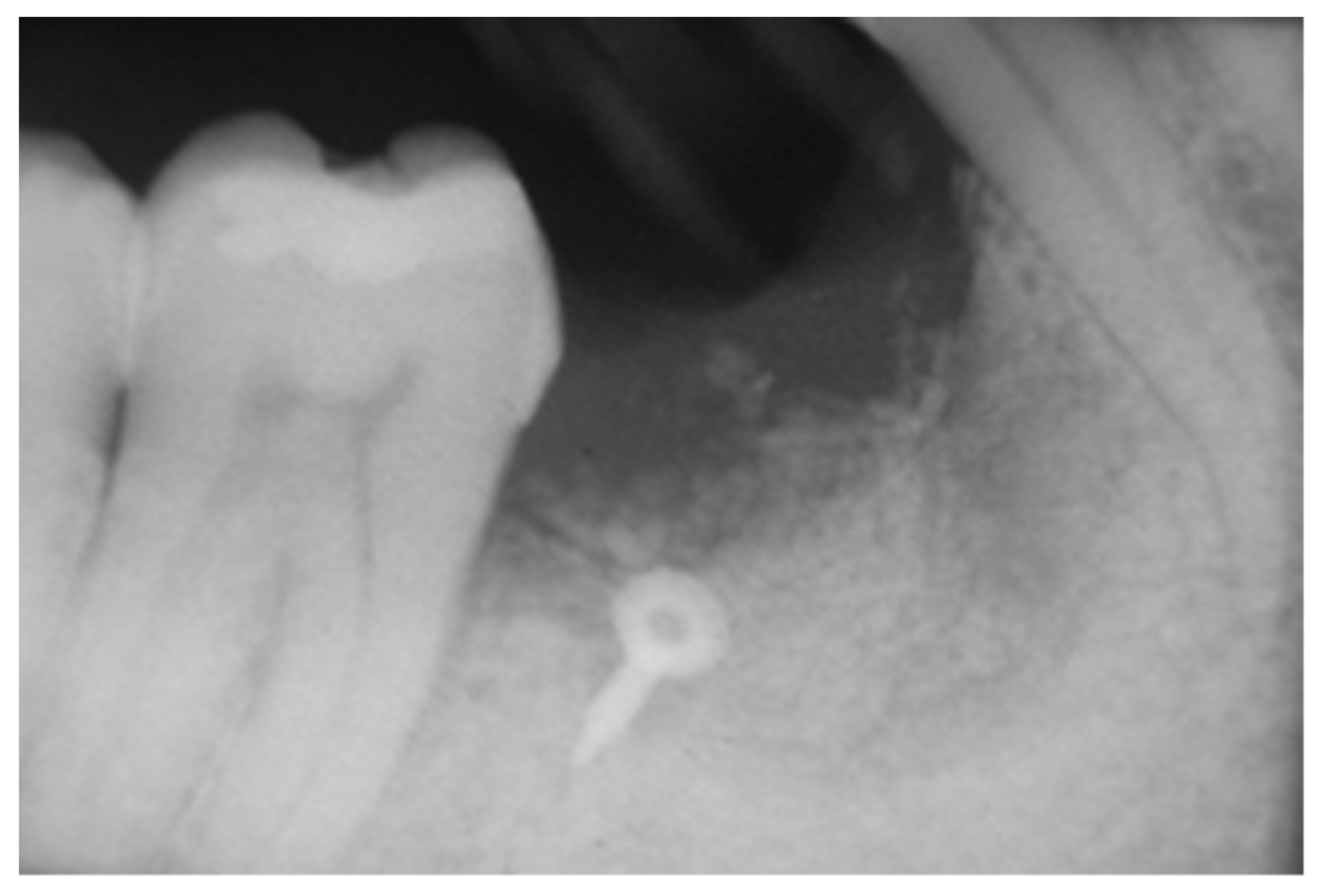 Applsci 12 10285 g004 Applsci 12 10285 g004