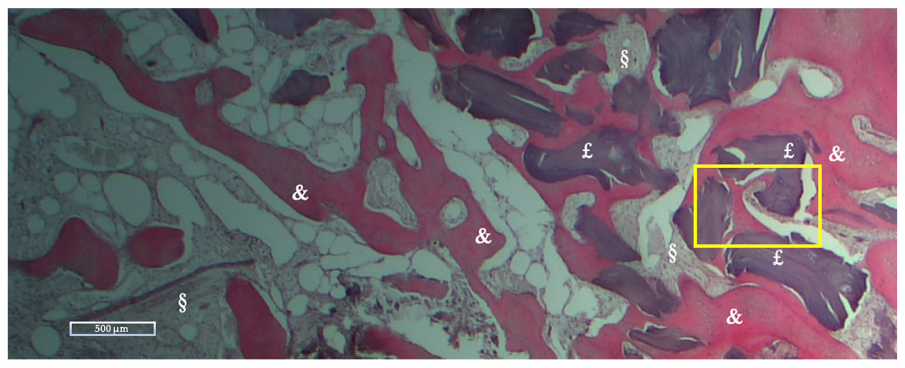 Applsci 12 10285 g006 Applsci 12 10285 g006