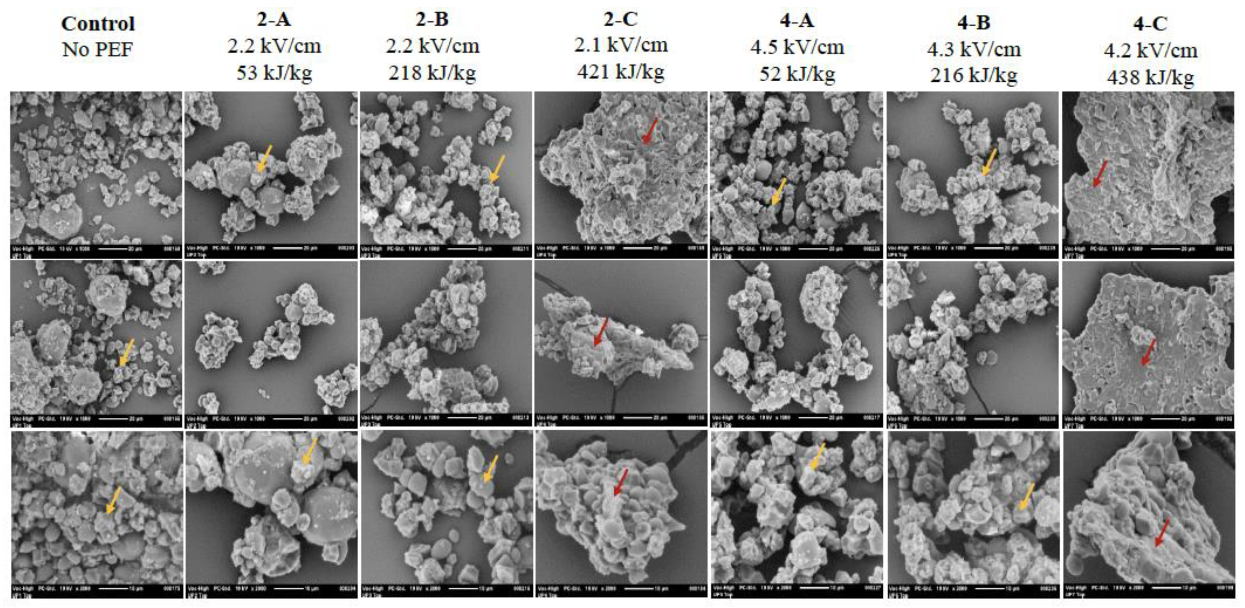 Applsci 12 10293 g004 Applsci 12 10293 g004