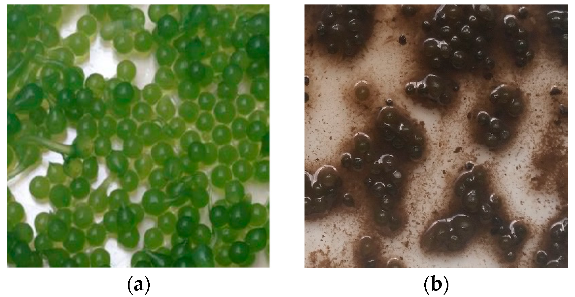 Applsci 12 10299 g007