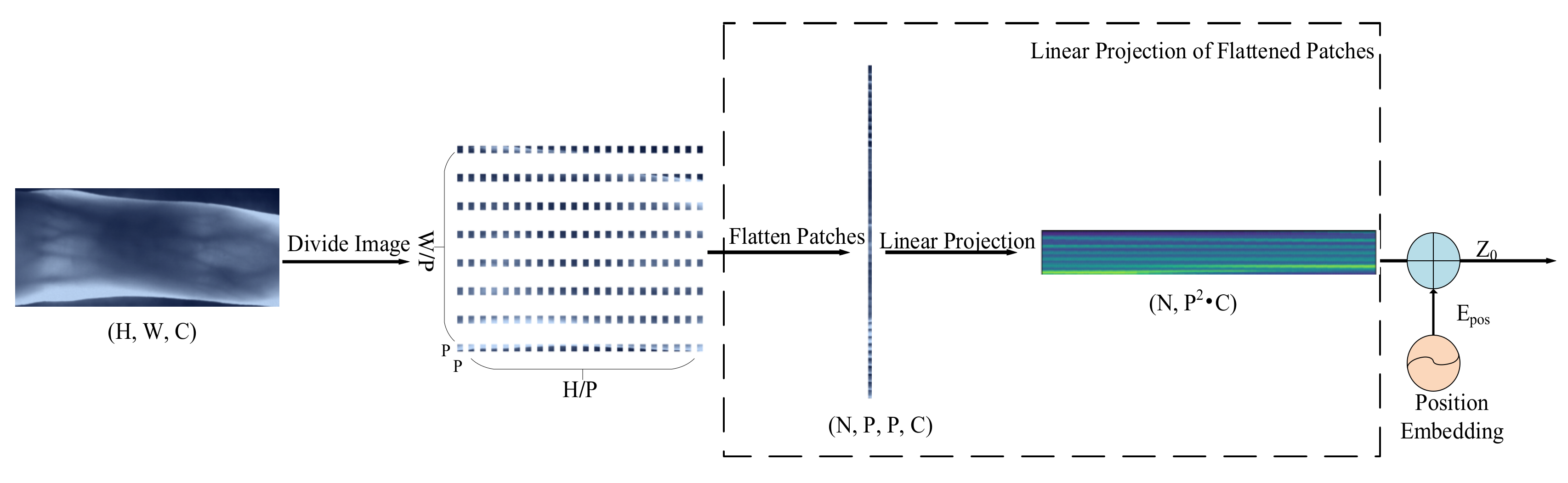 ViT-Cap: A Novel Vision Transformer-Based Capsule Network Model for ...