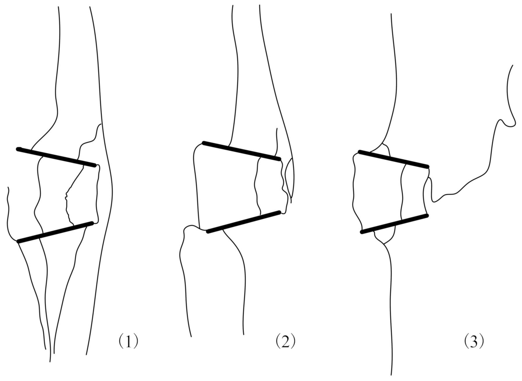 Applsci 12 10367 i001 Applsci 12 10367 i001