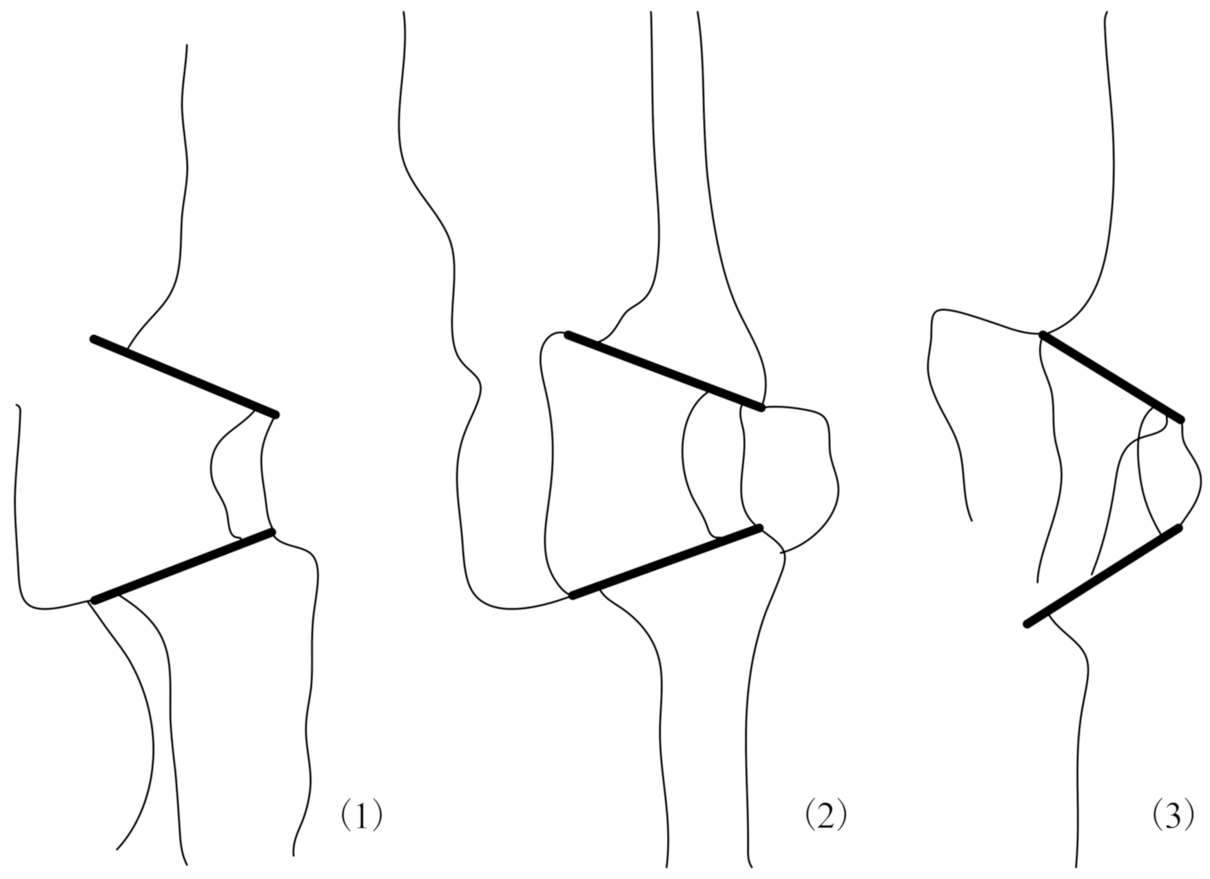 Applsci 12 10367 i003 Applsci 12 10367 i003
